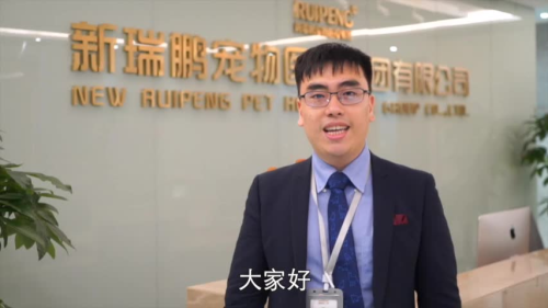 北上港青談習主席深圳講話:是對港人的鼓勵和認同 北上港青談習主席深圳講話:是對港人的鼓勵和認同