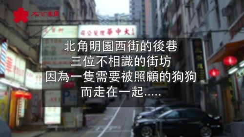 三位街坊與一條狗的故事 三位街坊與一條狗的故事