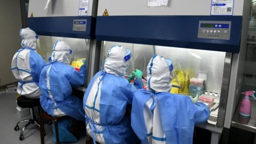 青島:無症狀感染者2例 密接者均為陰性 青島:無症狀感染者2例 密接者均為陰性