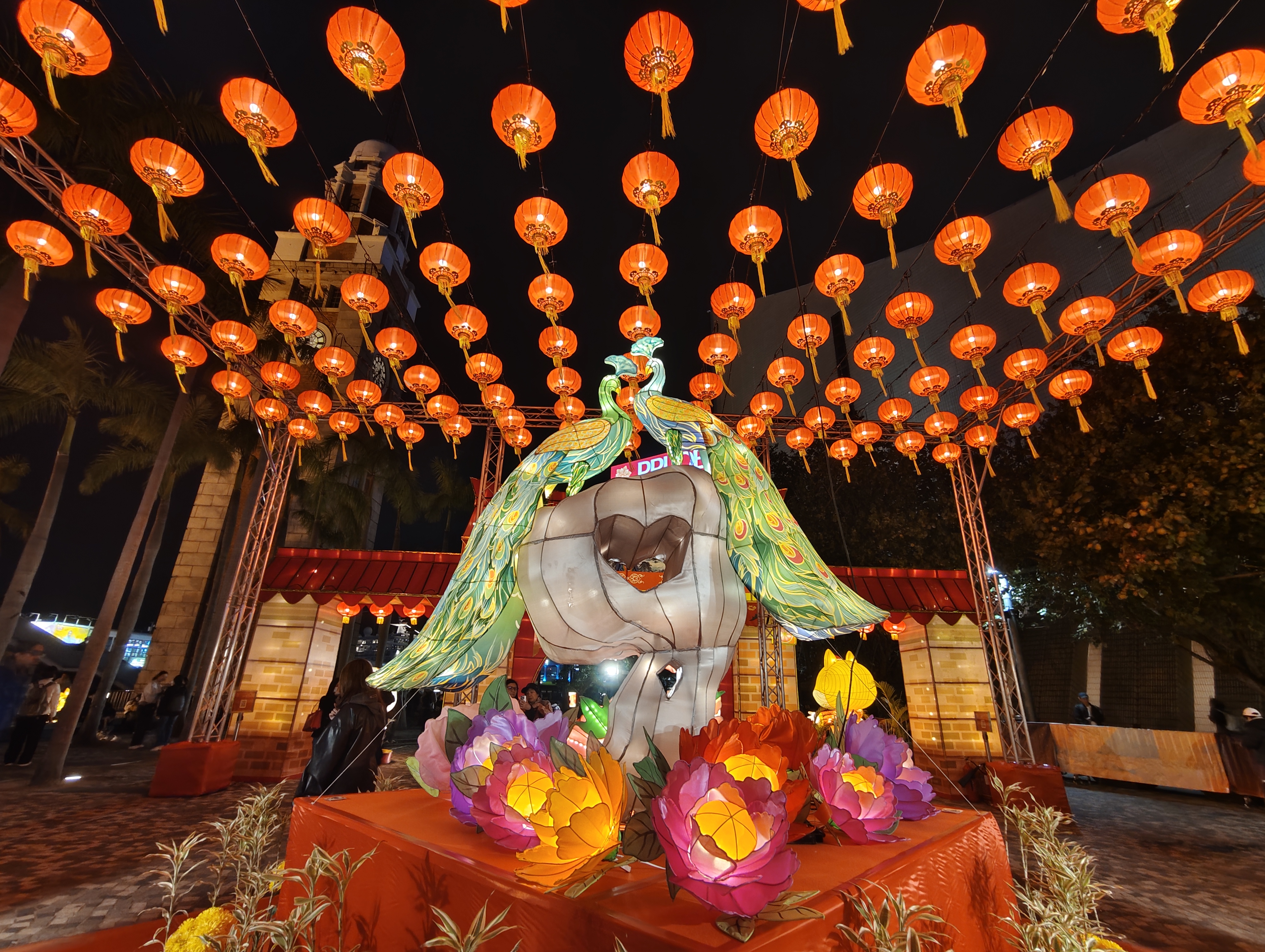 孔雀造型綵燈。