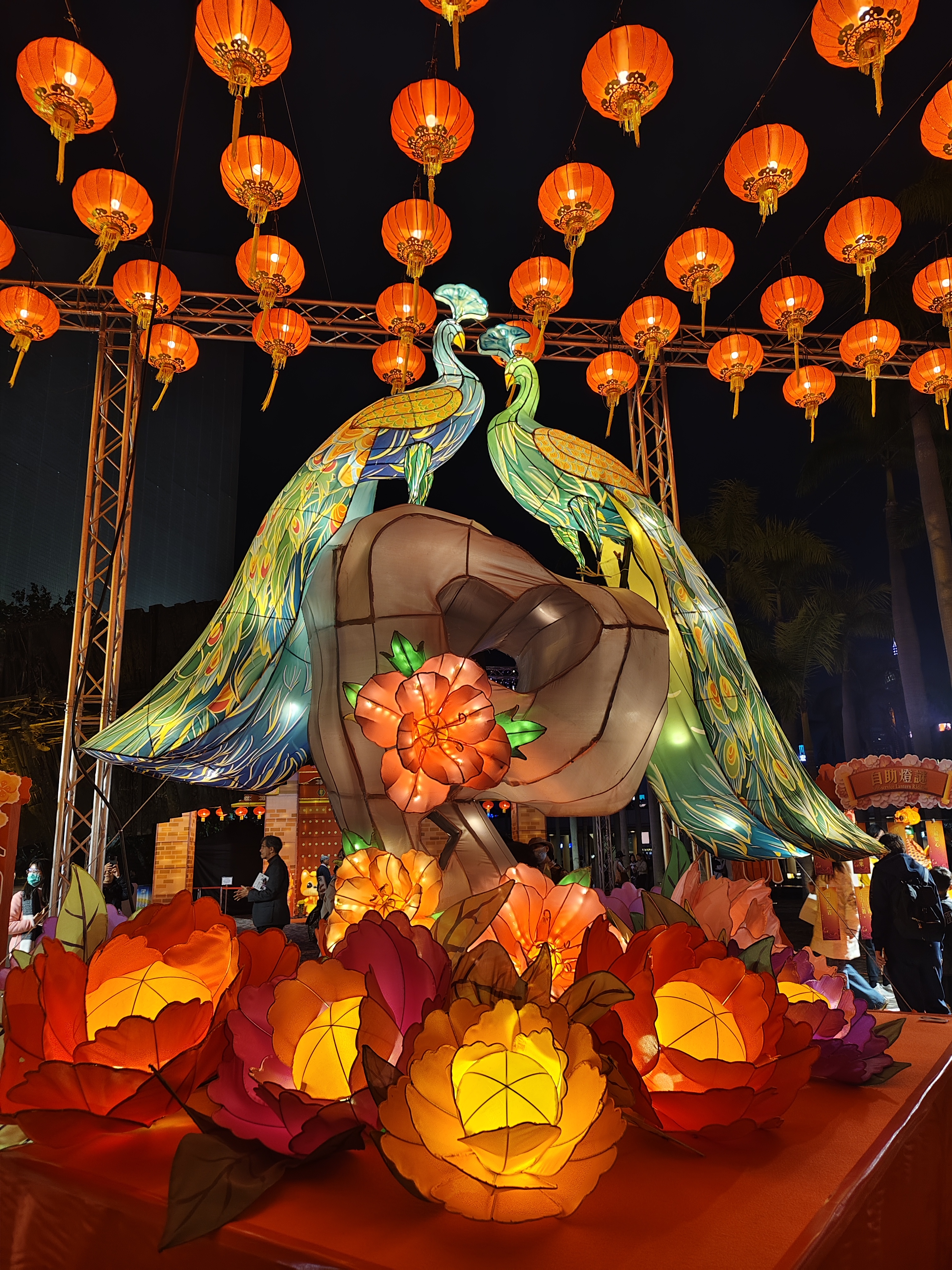 孔雀造型綵燈。