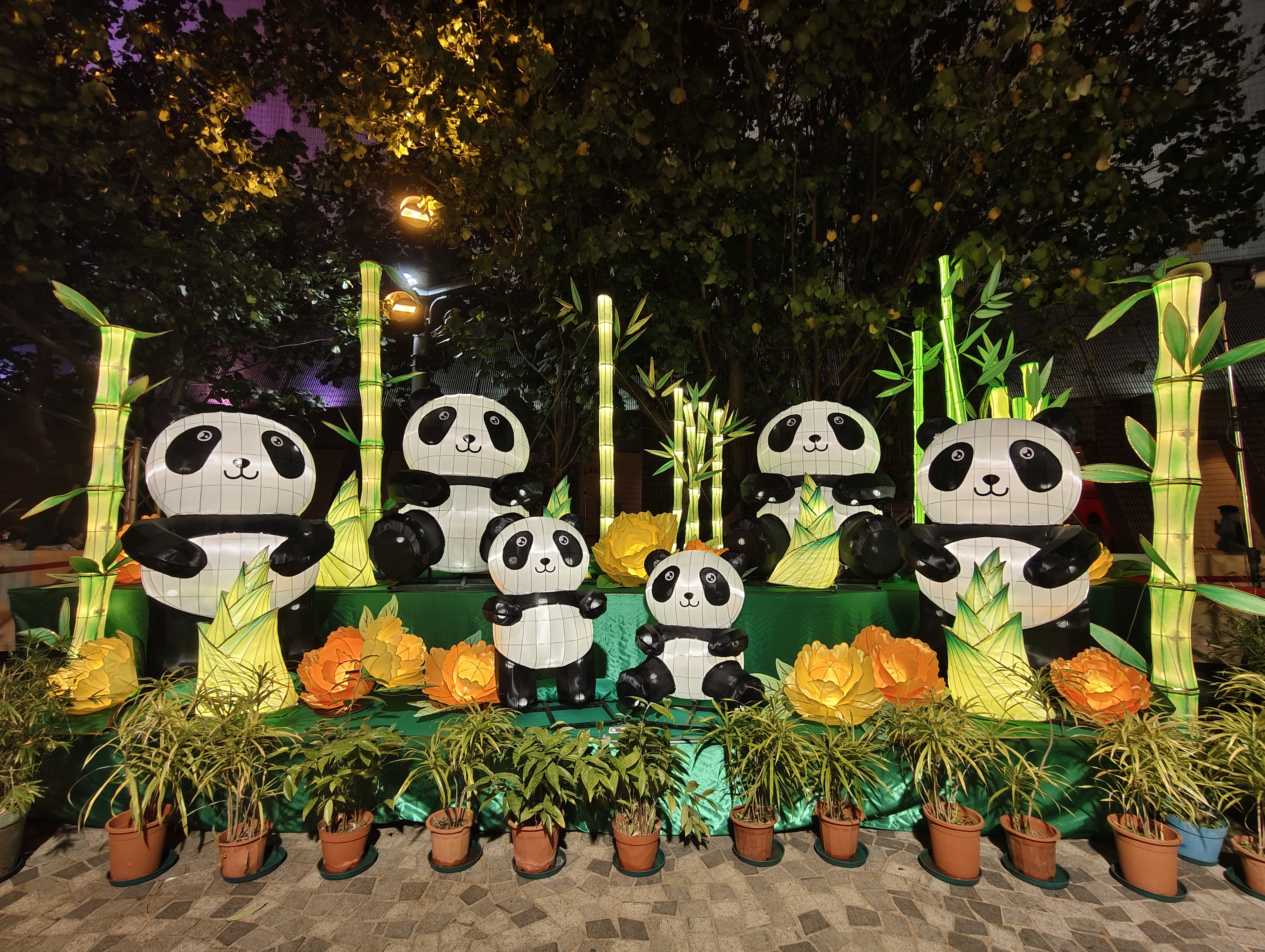 熊貓造型綵燈。