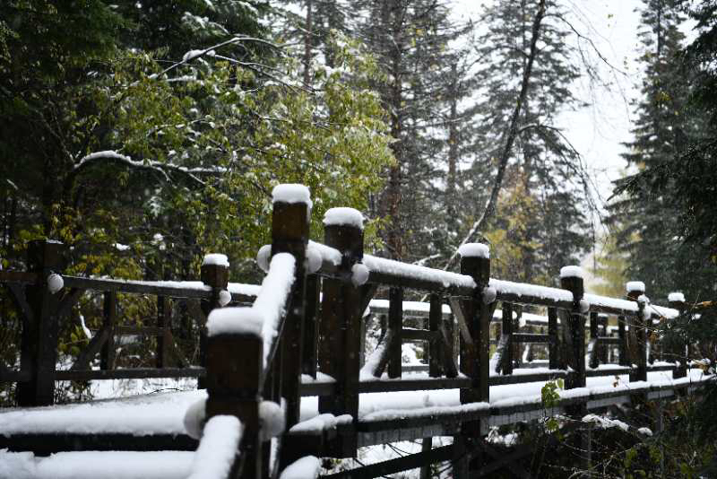 大公文匯全媒體記者于海江哈爾濱報道：金秋十月，本是五花山色賞秋時節，而在中國雪鄉卻迎來首場降雪。據瞭解，中國雪鄉自4日下午開始降雪，持續至5日中午，積雪最深處有10公分，而亞雪公路處已達50公分，秋意正濃的亞雪公路由五花山色瞬間秒變銀裝素裹，玉樹瓊枝。
随着冷空气的来袭，10月4号龙江森工林区凤凰山、雪乡亚雪驿站等多个景区迎来了今年入秋以来的首场降雪。（受訪者供圖）