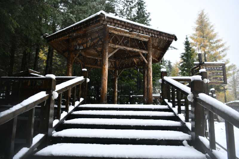 大公文匯全媒體記者于海江哈爾濱報道：金秋十月，本是五花山色賞秋時節，而在中國雪鄉卻迎來首場降雪。據了解，中國雪鄉自4日下午開始降雪，持續至5日中午，積雪最深處有10公分，而亞雪公路處已達50公分，秋意正濃的亞雪公路由五花山色瞬間秒變銀裝素裹，玉樹瓊枝。
随着冷空气的来袭，10月4号龙江森工林区凤凰山、雪乡亚雪驿站等多个景区迎来了今年入秋以来的首场降雪。（受訪者供圖）