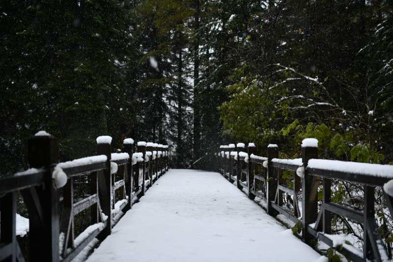 大公文匯全媒體記者于海江哈爾濱報道：金秋十月，本是五花山色賞秋時節，而在中國雪鄉卻迎來首場降雪。據瞭解，中國雪鄉自4日下午開始降雪，持續至5日中午，積雪最深處有10公分，而亞雪公路處已達50公分，秋意正濃的亞雪公路由五花山色瞬間秒變銀裝素裹，玉樹瓊枝。
随着冷空气的来袭，10月4号龙江森工林区凤凰山、雪乡亚雪驿站等多个景区迎来了今年入秋以来的首场降雪。（受訪者供圖）