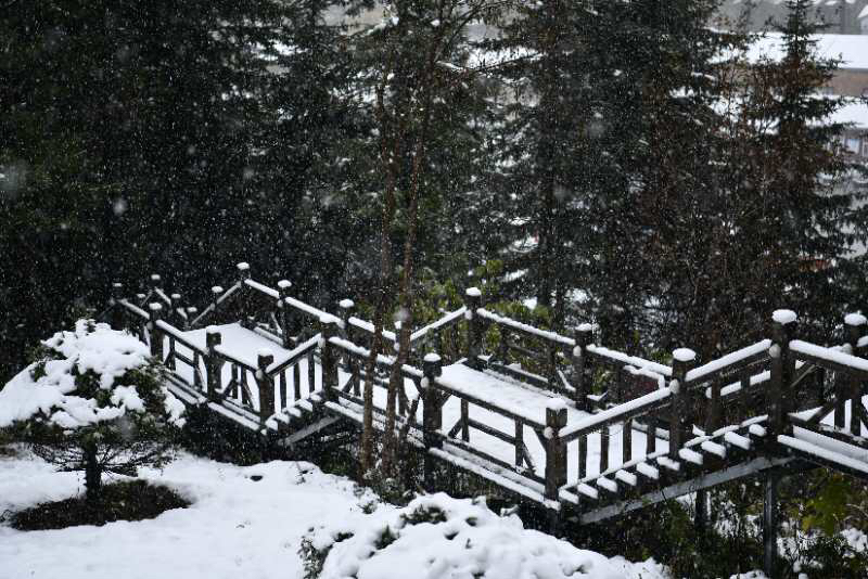 大公文匯全媒體記者于海江哈爾濱報道：金秋十月，本是五花山色賞秋時節，而在中國雪鄉卻迎來首場降雪。據瞭解，中國雪鄉自4日下午開始降雪，持續至5日中午，積雪最深處有10公分，而亞雪公路處已達50公分，秋意正濃的亞雪公路由五花山色瞬間秒變銀裝素裹，玉樹瓊枝。
随着冷空气的来袭，10月4号龙江森工林区凤凰山、雪乡亚雪驿站等多个景区迎来了今年入秋以来的首场降雪。（受訪者供圖）