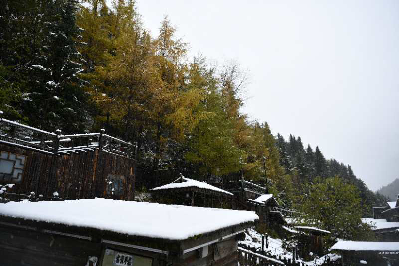 大公文匯全媒體記者于海江哈爾濱報道：金秋十月，本是五花山色賞秋時節，而在中國雪鄉卻迎來首場降雪。據瞭解，中國雪鄉自4日下午開始降雪，持續至5日中午，積雪最深處有10公分，而亞雪公路處已達50公分，秋意正濃的亞雪公路由五花山色瞬間秒變銀裝素裹，玉樹瓊枝。
随着冷空气的来袭，10月4号龙江森工林区凤凰山、雪乡亚雪驿站等多个景区迎来了今年入秋以来的首场降雪。（受訪者供圖）