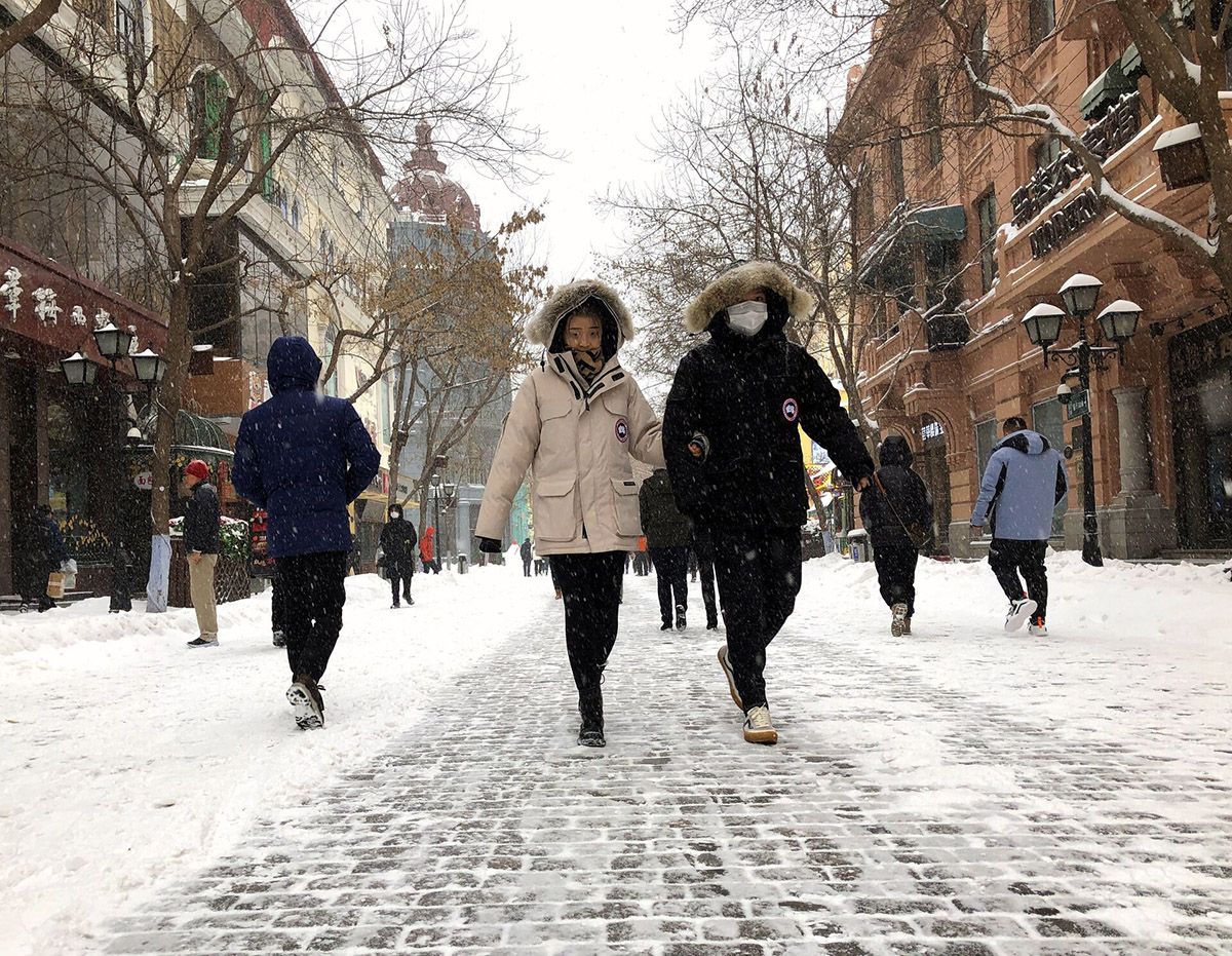 冰城哈爾濱迎來今年入冬以來首場大雪,一片銀裝素裹。記者吳千攝 冰城哈爾濱迎來今年入冬以來首場大雪,一片銀裝素裹。記者吳千攝