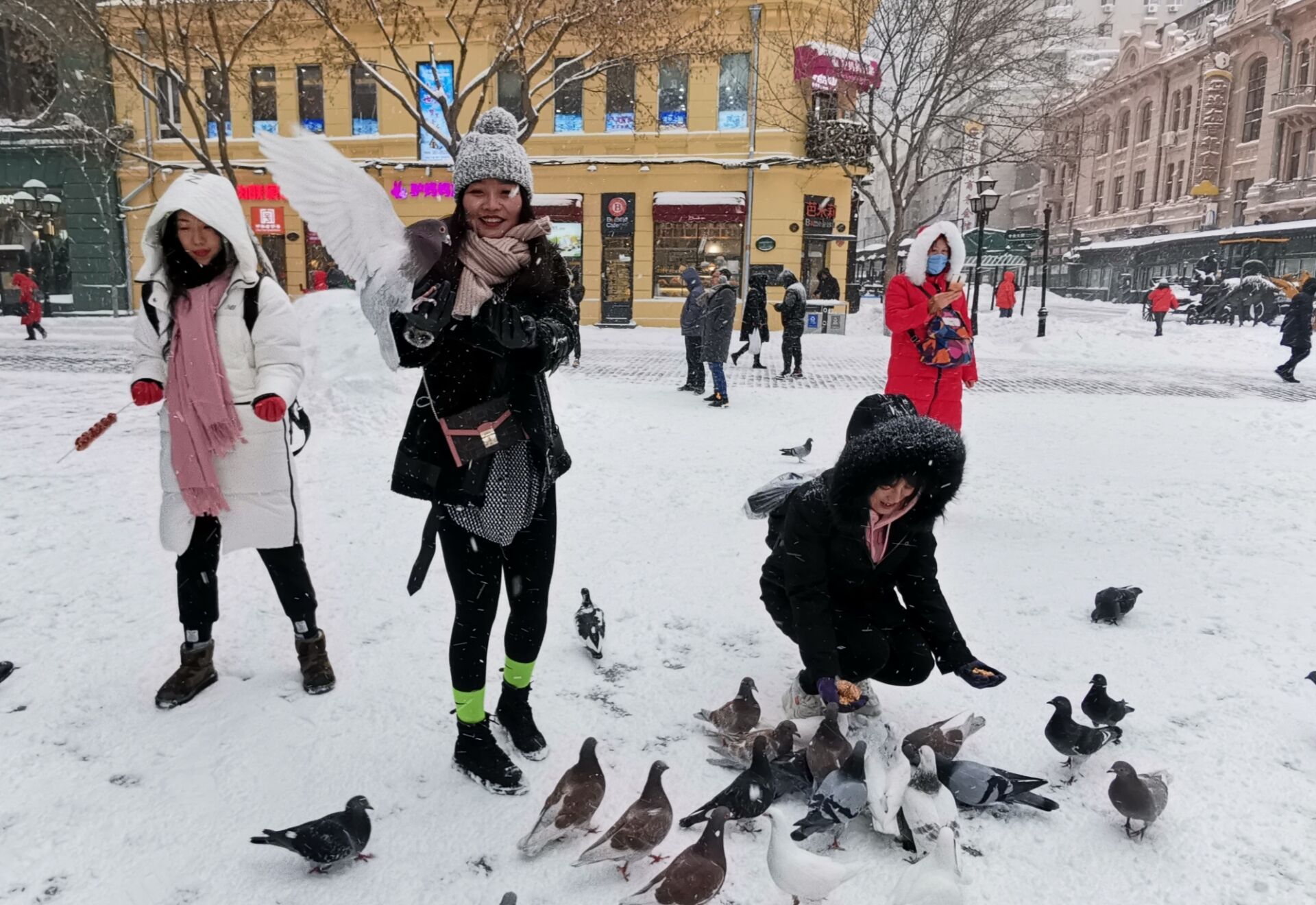 遊客們在雪中體驗喂鴿子的樂趣。記者吳千攝 遊客們在雪中體驗喂鴿子的樂趣。記者吳千攝
