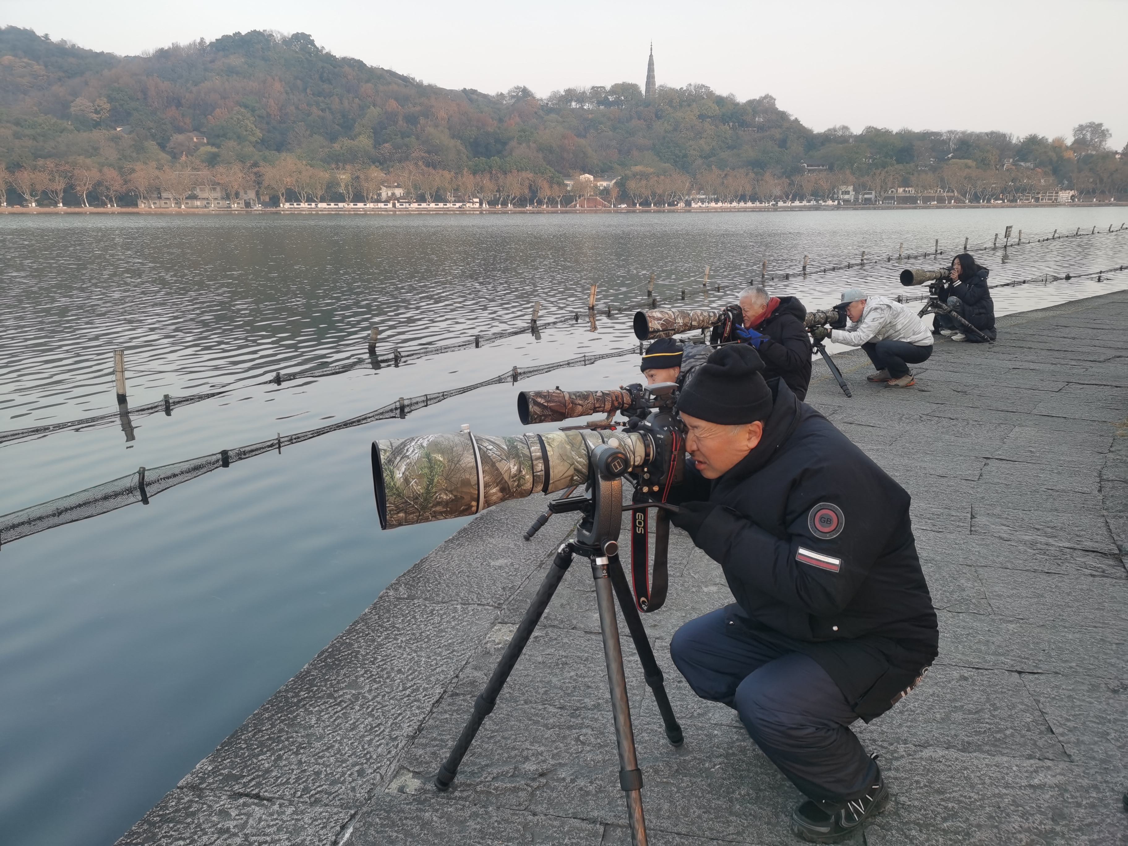 毛建平說，每年這段時間，杭州打鳥（行話，就是拍鳥）有400-500人，一般在早晨7點到8點半之間，能抓到鸕茲捕魚的精彩畫面。圖為每日清晨在西湖邊「打鳥」(拍鳥)。 （香港文匯網記者茅建興 攝）
