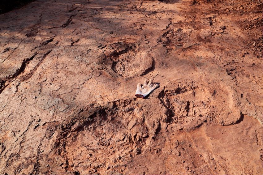 福建龍岩現8000萬年前恐龍足跡群