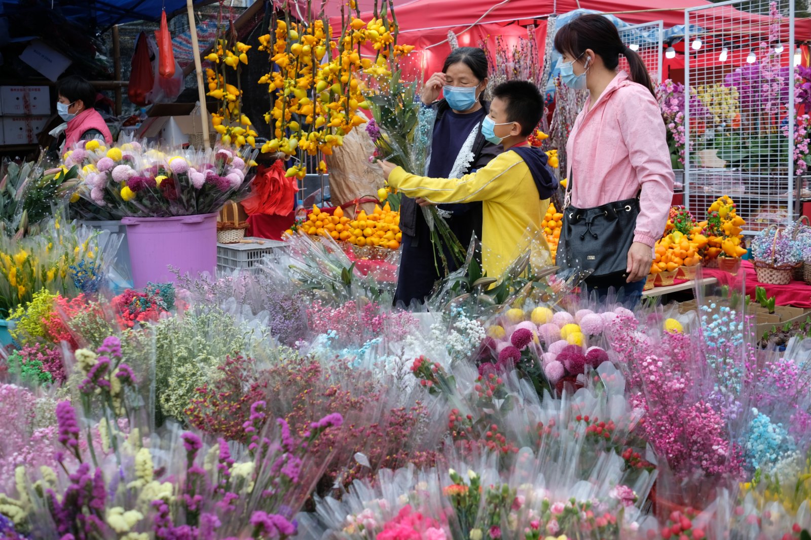 圖集|迎牛年行花市 市民揀年花催旺好運勢 - 香港 - 香港文匯網