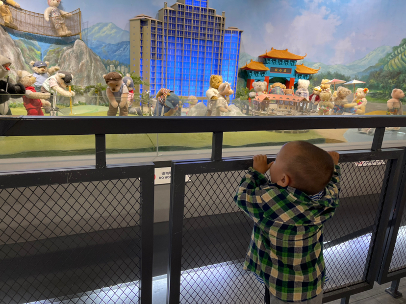 小朋友認真遊覽泰迪熊博物館。（香港文匯網記者劉蕊 攝 ）