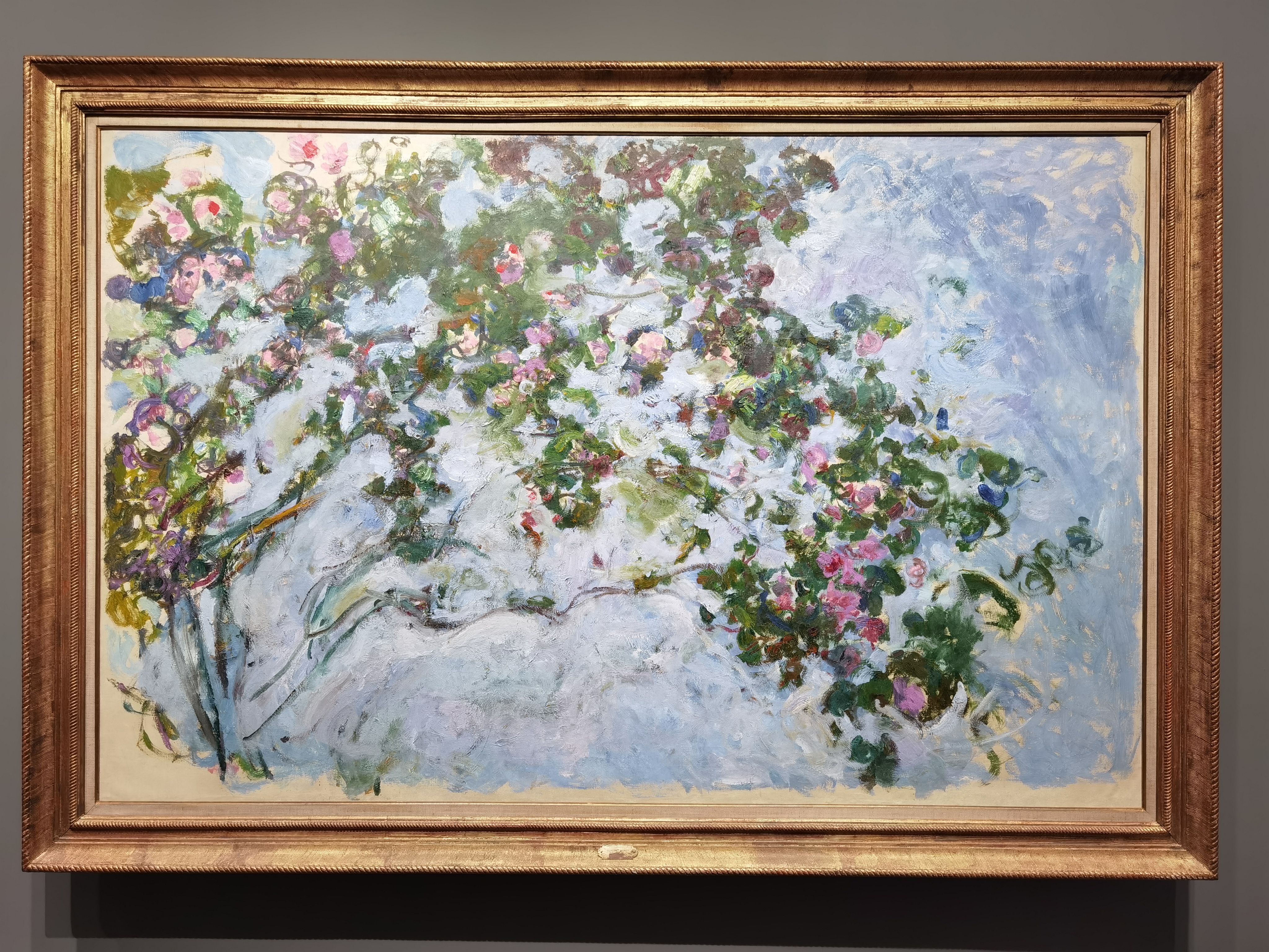 克勞德·莫奈《玫瑰》，1925年-1926年左右（張帆攝）