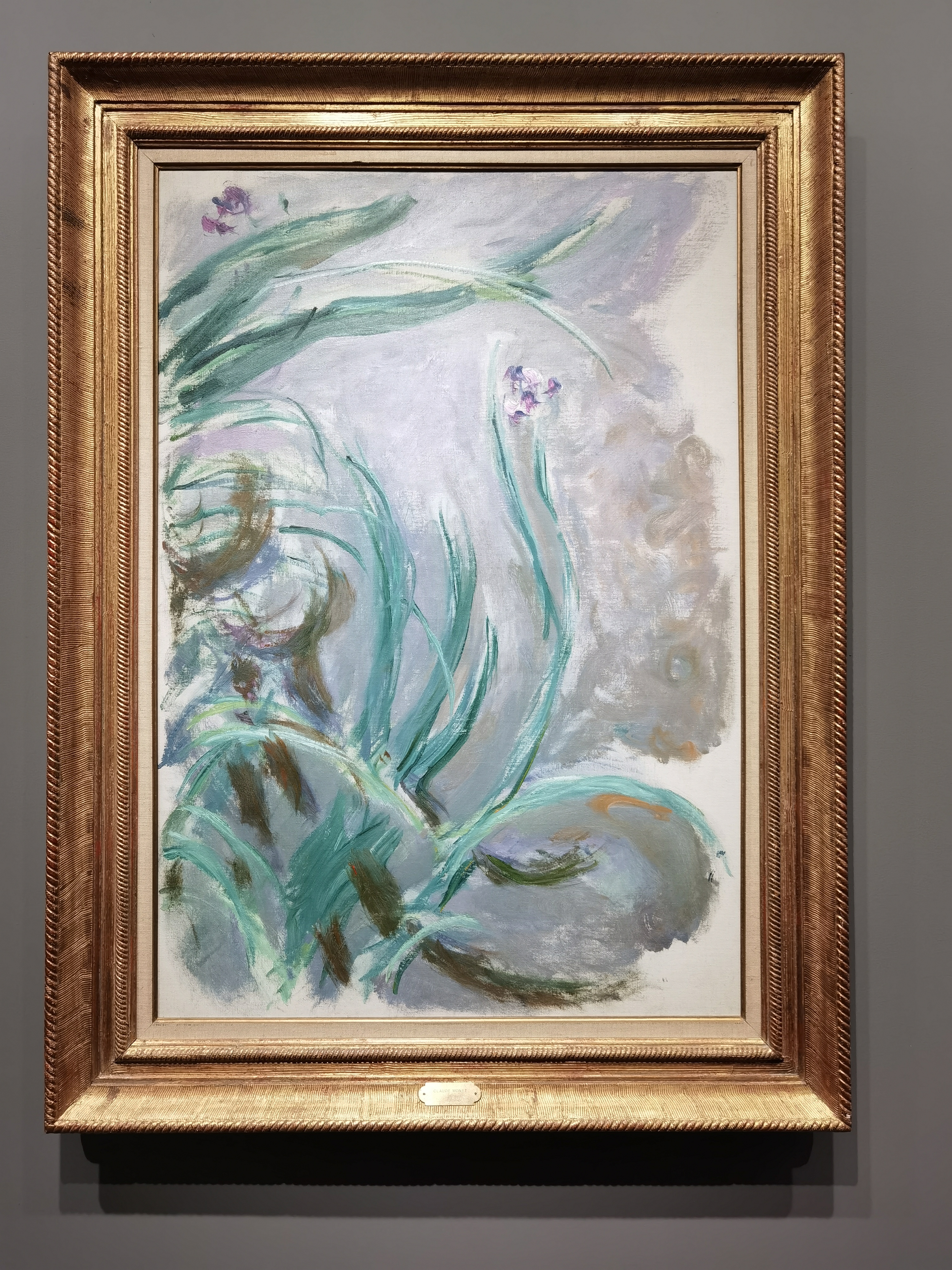 克勞德·莫奈《鳶尾花》，1924年-1925年左右（張帆攝）