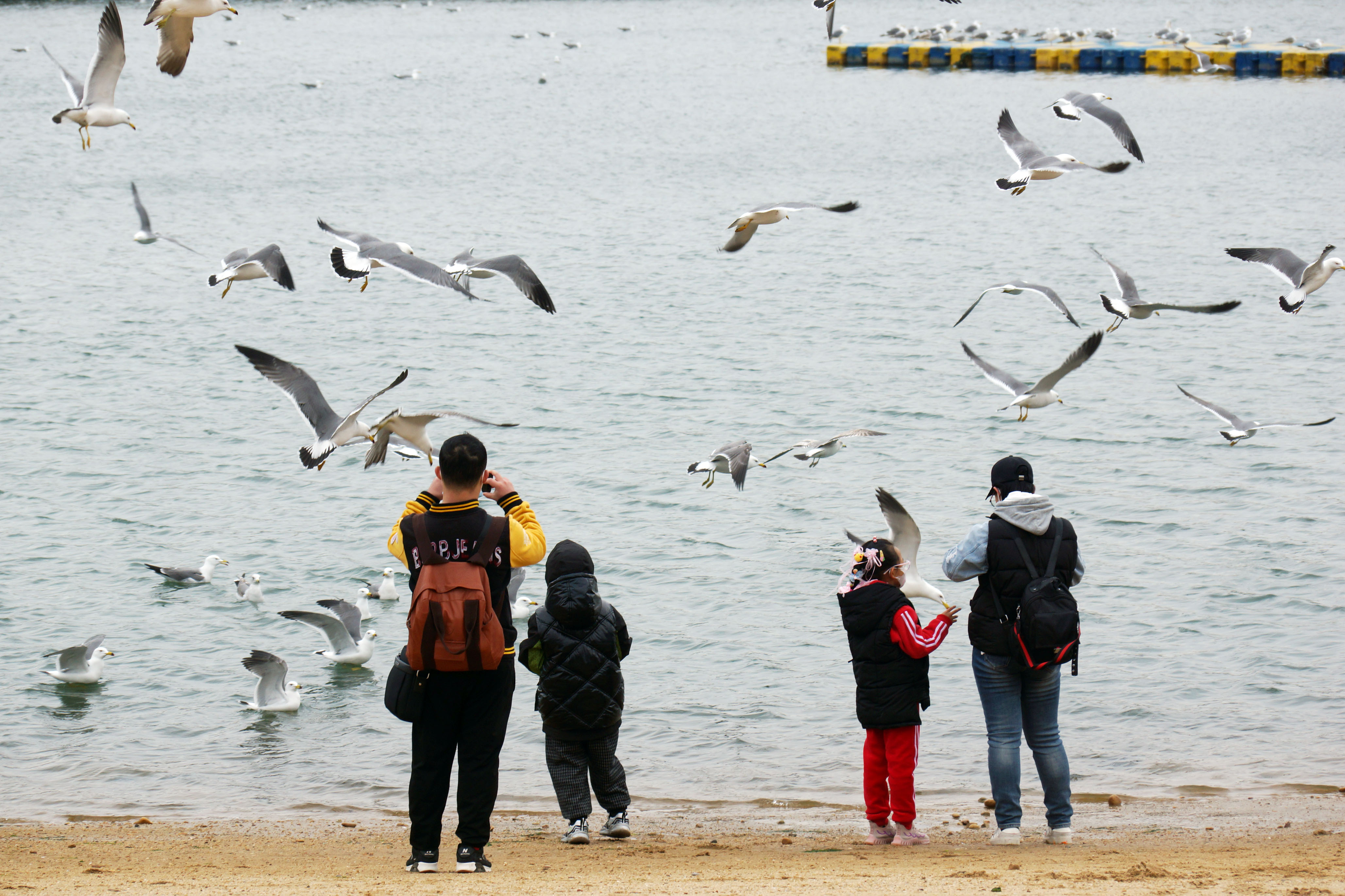 清明小長假首日，數十名小朋友在家長帶領下近距離觀察、餵食海鳥。培養海洋環保意識，感受人與自然和諧共生。（記者宋偉攝）