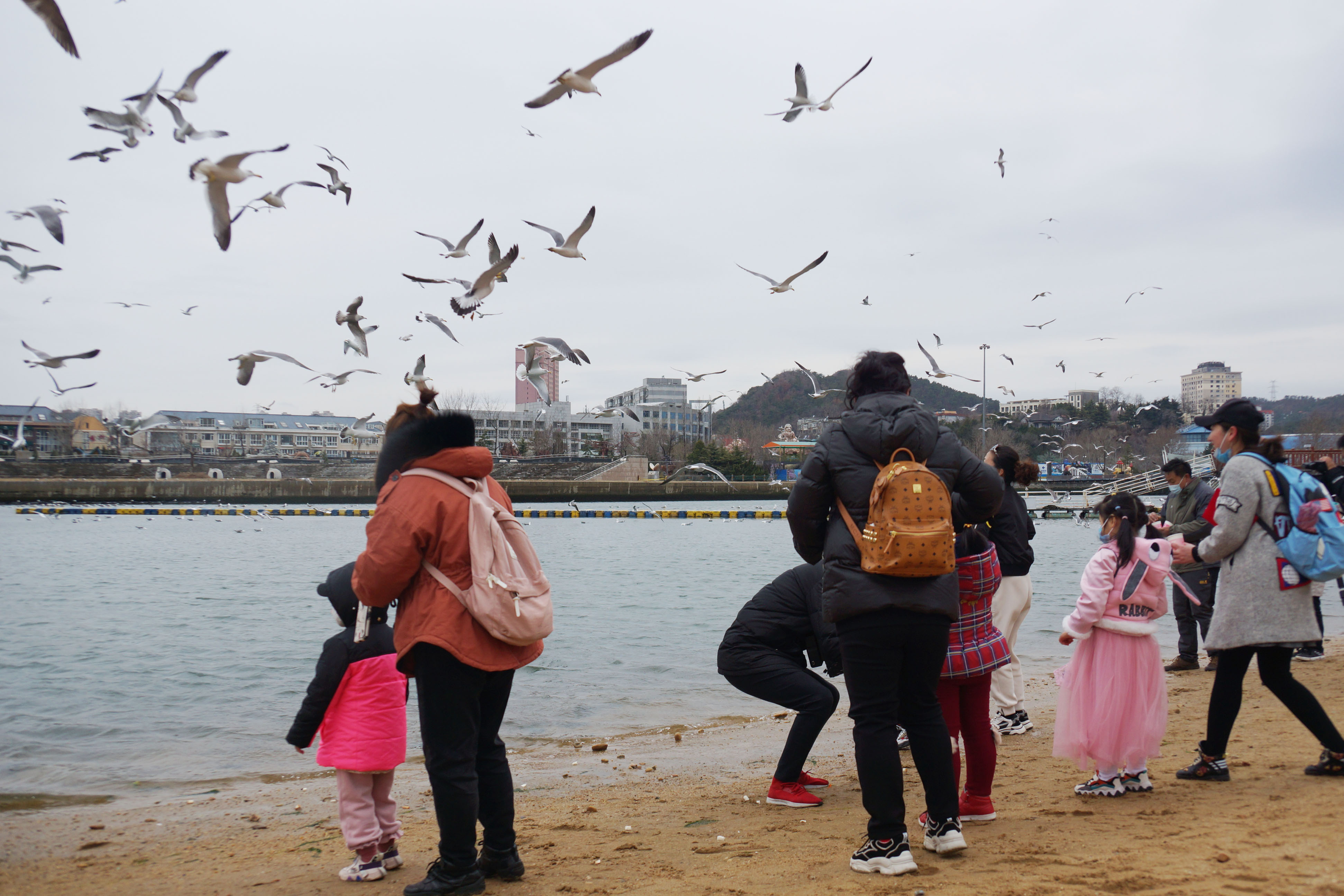清明小長假首日，數十名小朋友在家長帶領下近距離觀察、餵食海鳥。培養海洋環保意識，感受人與自然和諧共生。（記者宋偉攝）