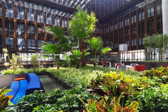 五層的室內空中花園種植多種熱帶植物，彷彿置身在自然之中，為工作、學習增添創意和靈感。