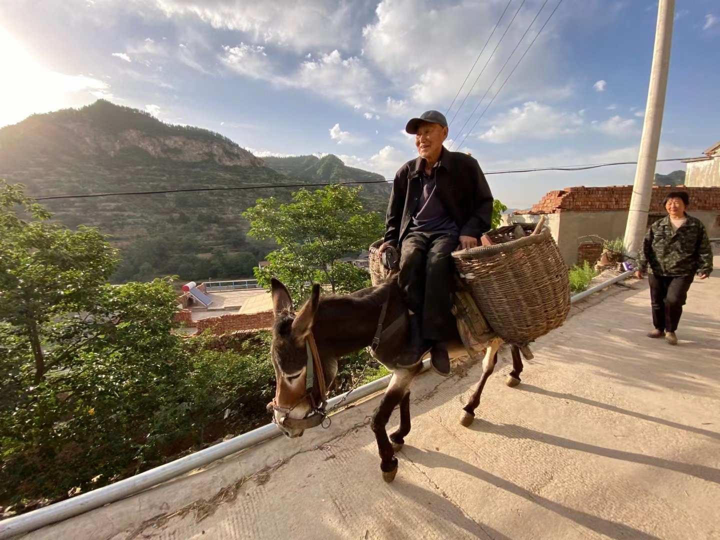 曹路勤的公公騎驢幫助兒媳（後）種地（香港文匯網記者 顧大鵬 攝）