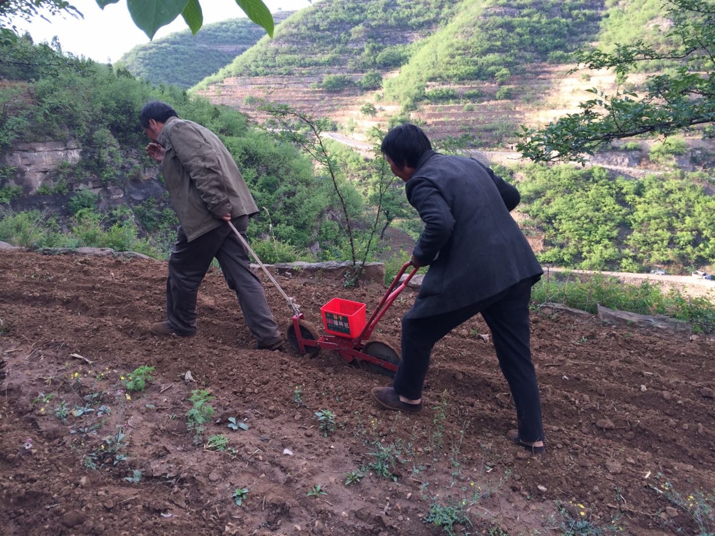 王金莊仍然延用著最古老的生產方式（香港文匯網記者 顧大鵬 攝）