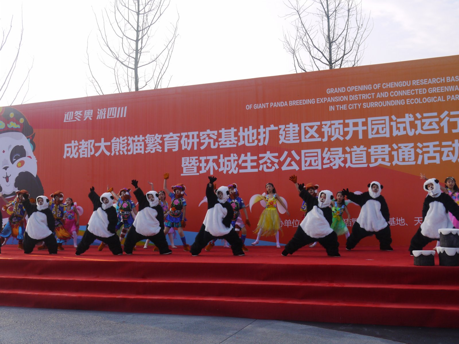 成都熊貓基地擴建區1日試運行。(向芸攝)