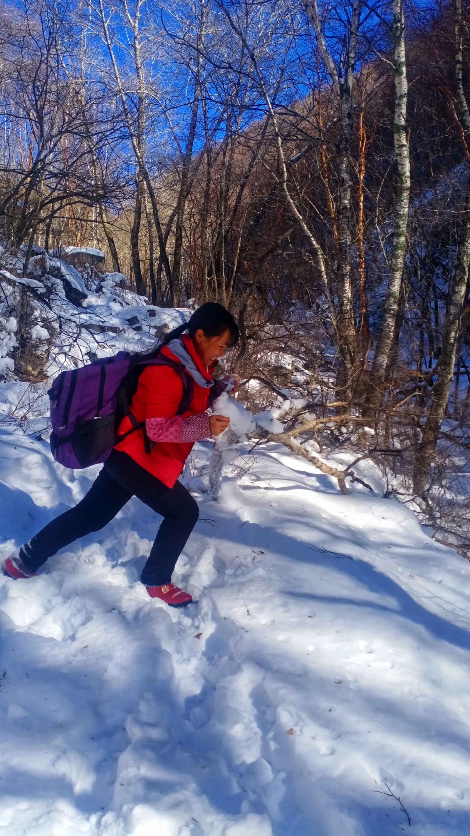 巾幗不讓鬚眉，她說護林員不分性別。