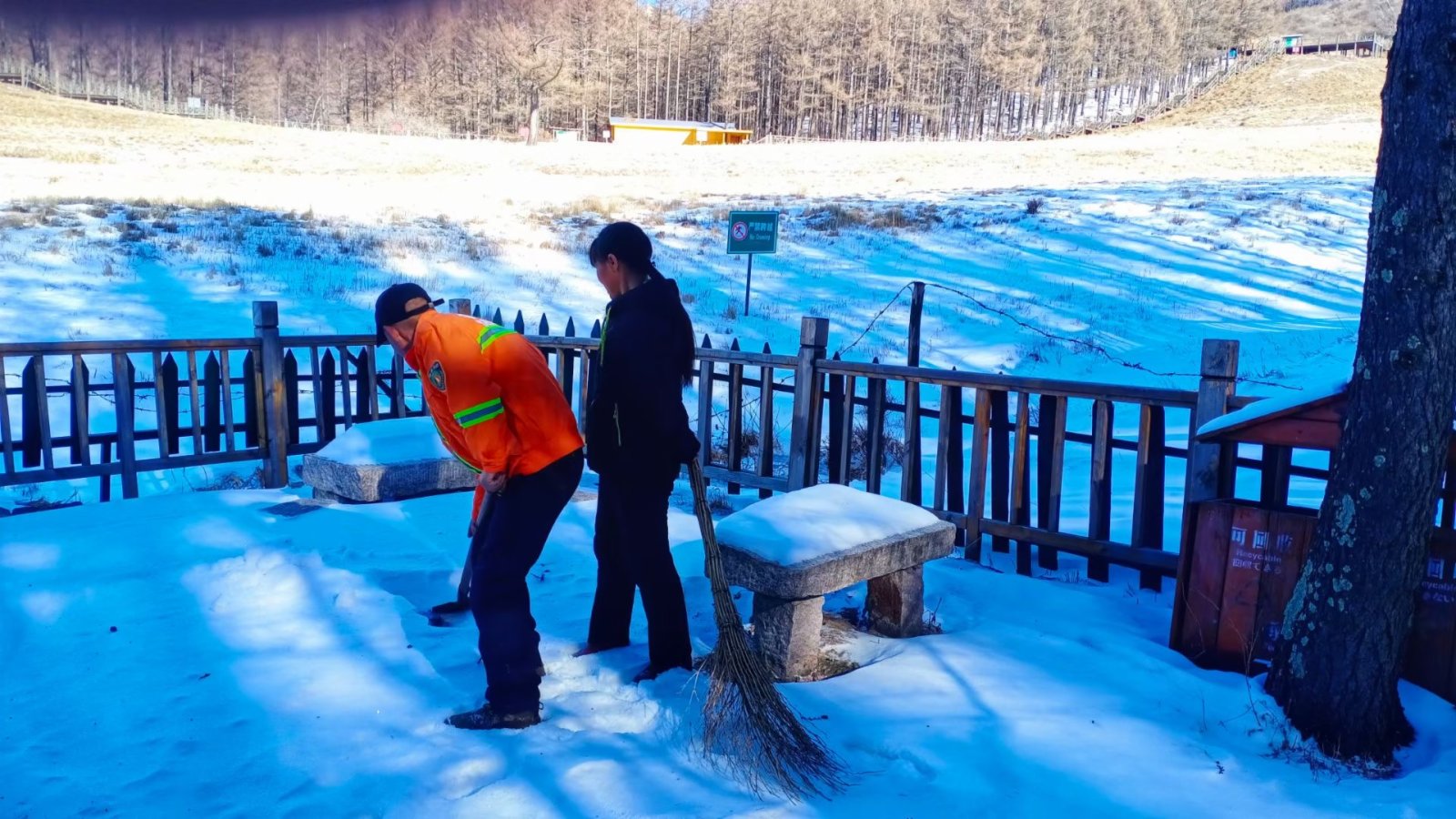虎年雪比往年大。
