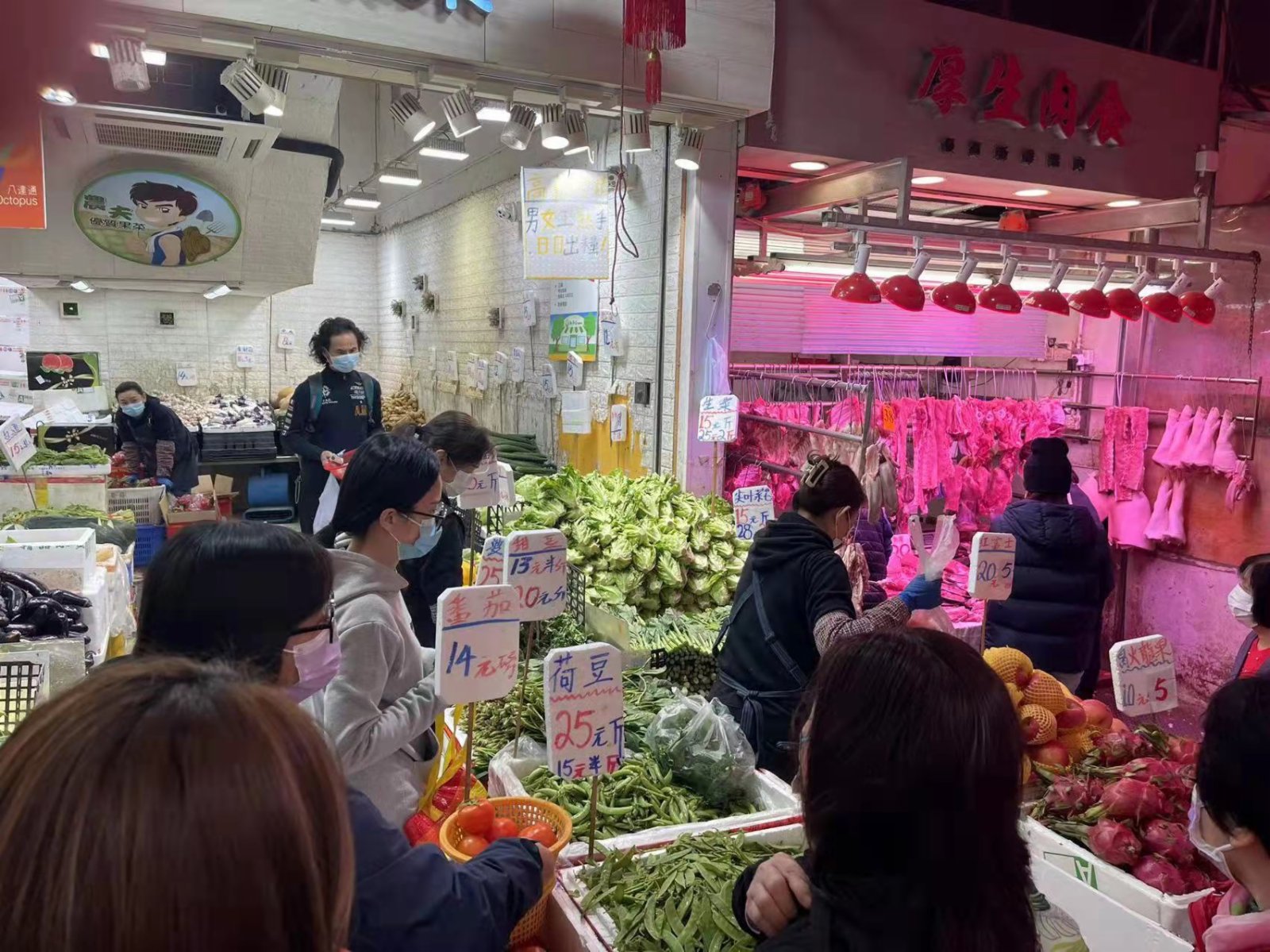 香港菜價稍回落，惟熱門菜類仍缺貨。（大公文匯全媒體記者 李九歌 攝）