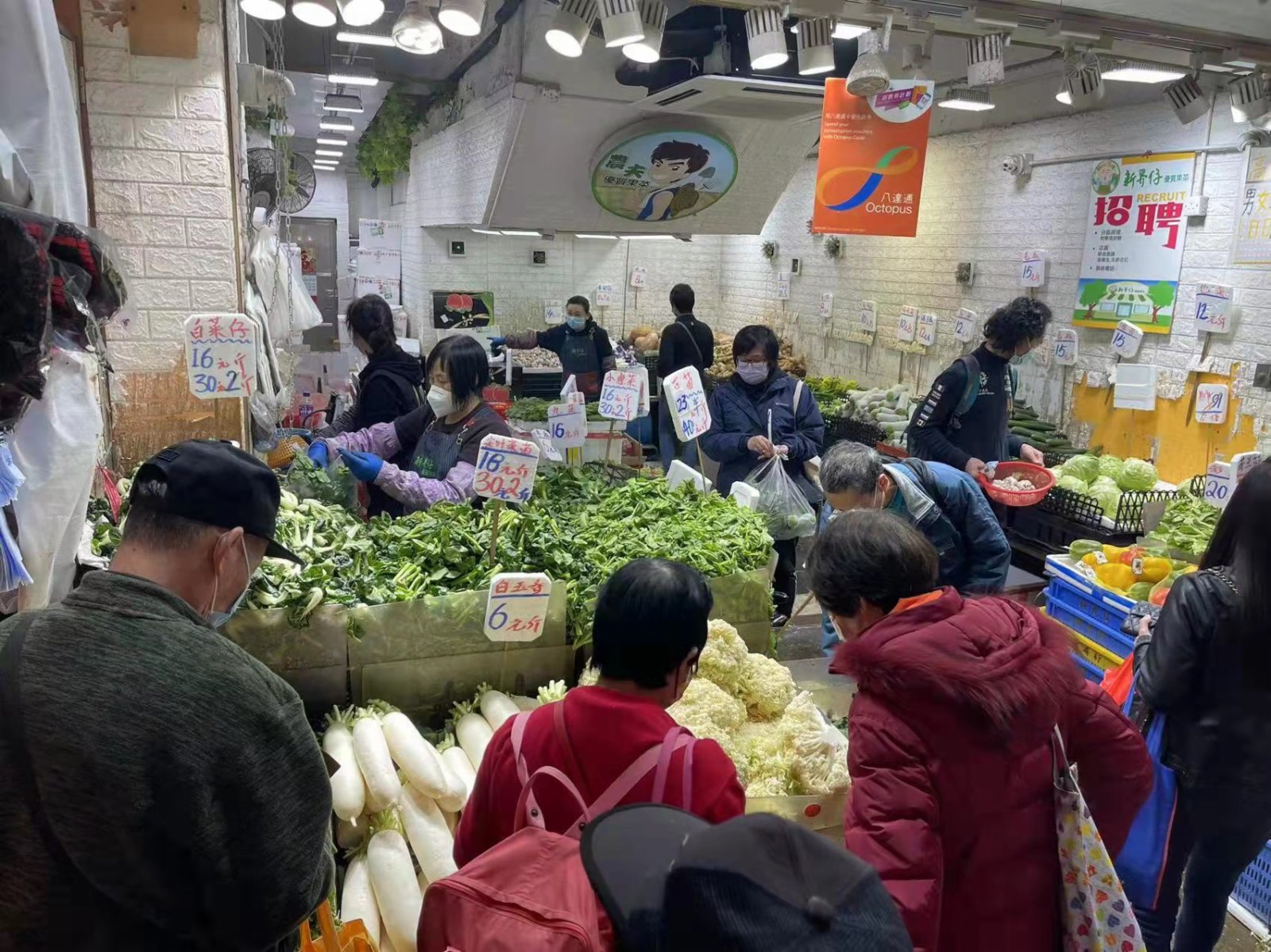 香港菜價稍回落，惟熱門菜類仍缺貨。（大公文匯全媒體記者 李九歌 攝）