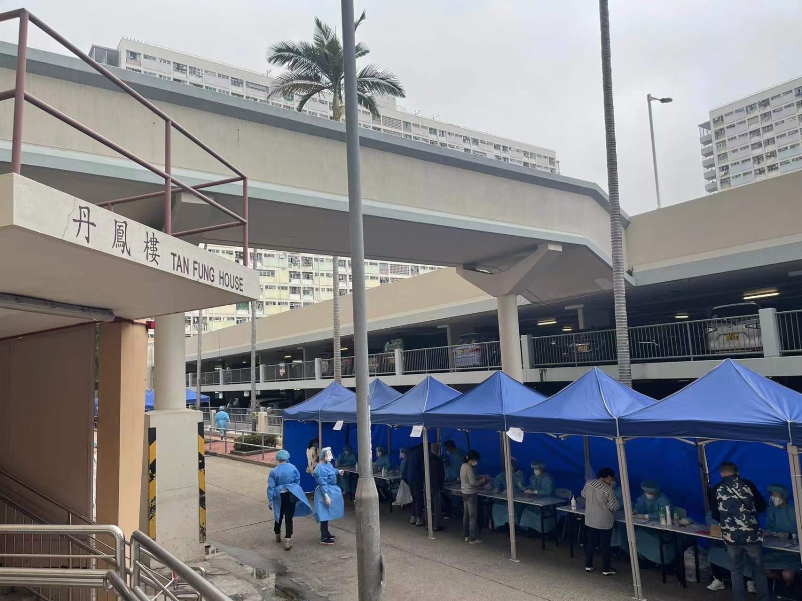 彩虹邨丹鳳樓圍封強檢。