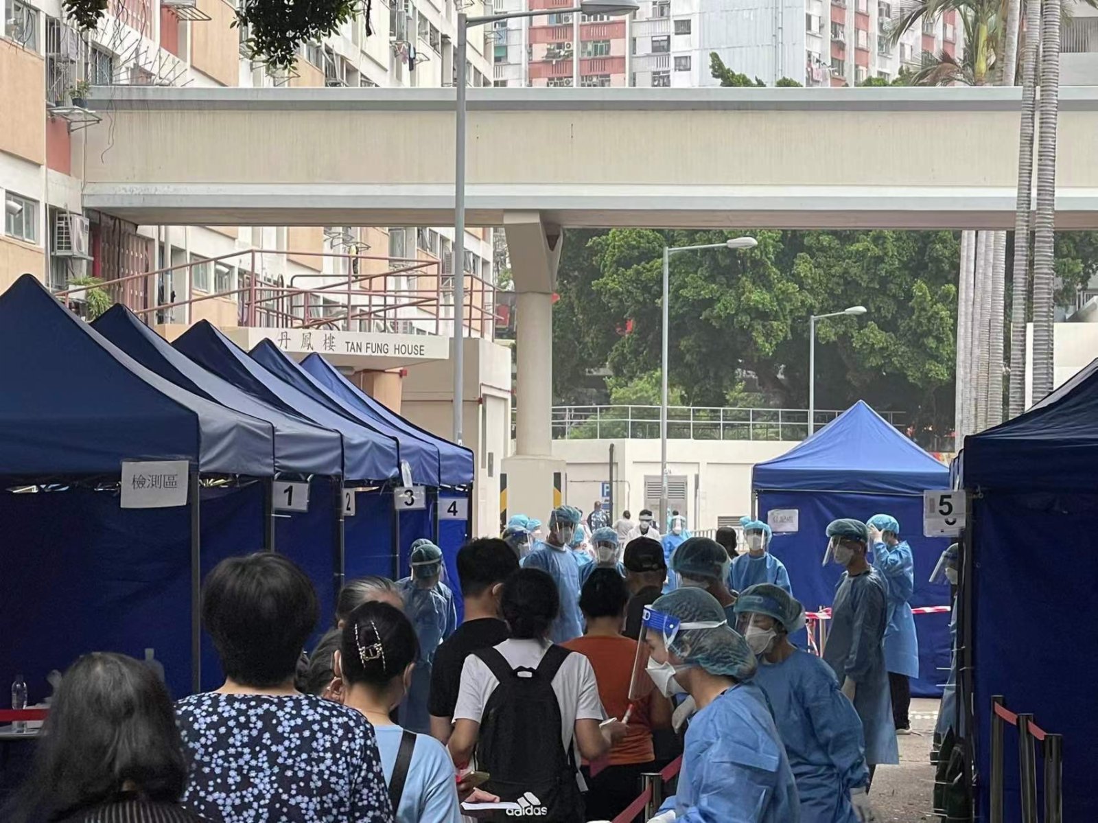 彩虹邨丹鳳樓圍封強檢。