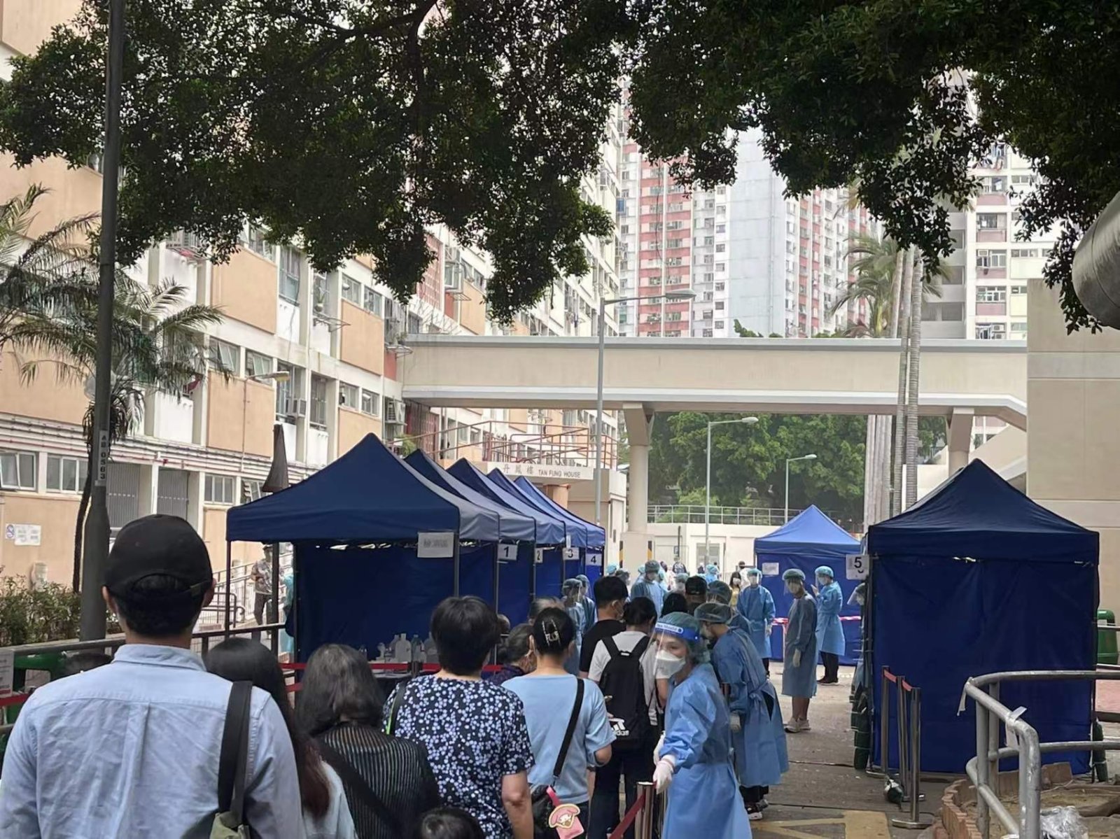 彩虹邨丹鳳樓圍封強檢。