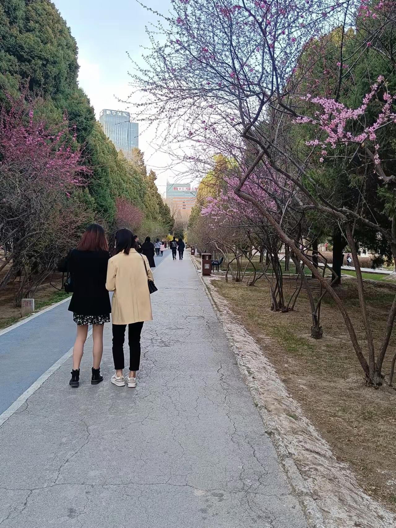 遊客漫步山花小径。（王尚勇摄）