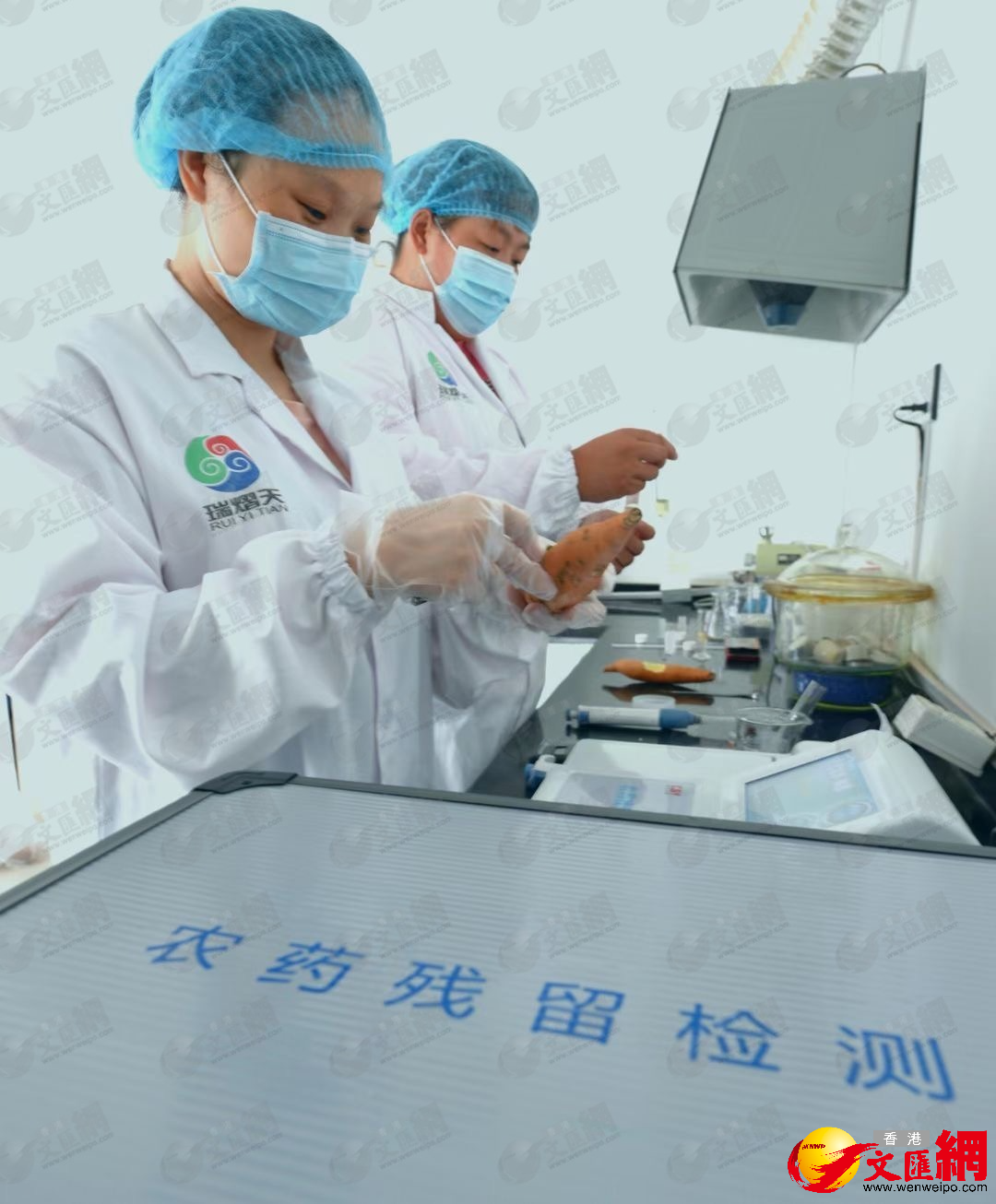 民生保供,微利運營,河北瑞熠天保障京津冀滬廣深近百間超市不斷貨。(香港文匯網記者顧大鵬 攝) 民生保供,微利運營,河北瑞熠天保障京津冀滬廣深近百間超市不斷貨。(香港文匯網記者顧大鵬 攝)