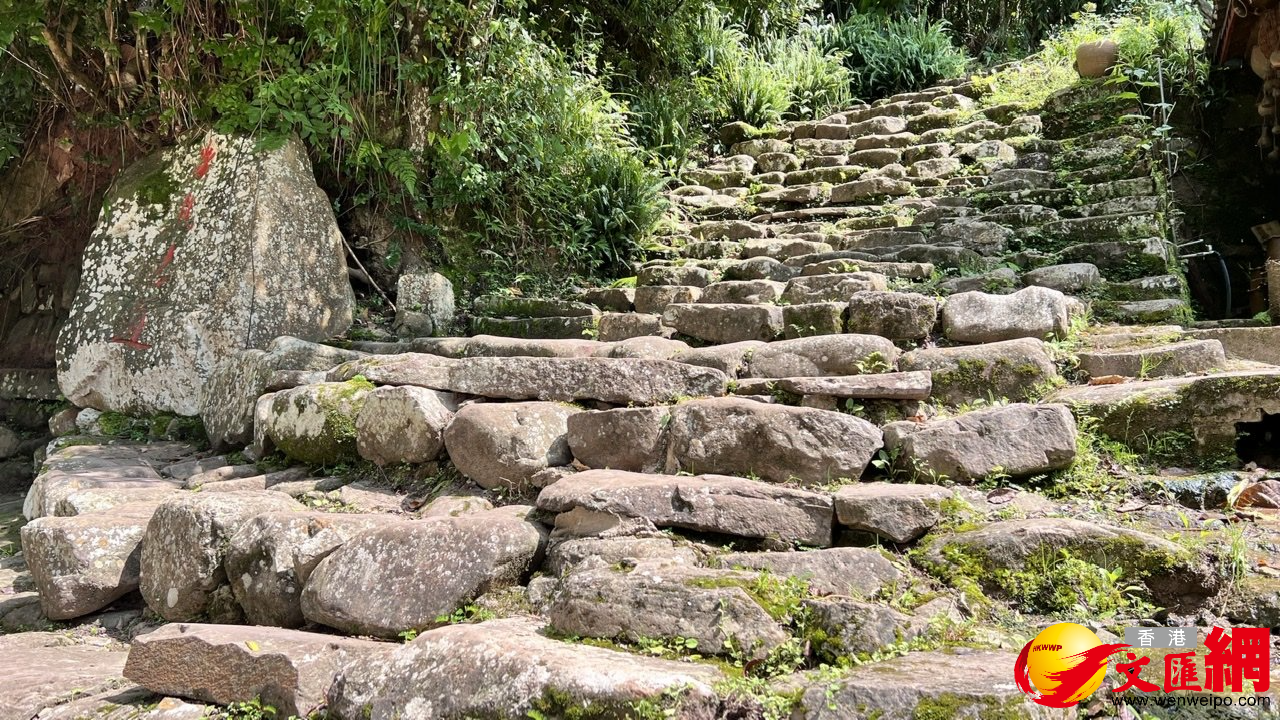 茶馬古道 茶馬古道