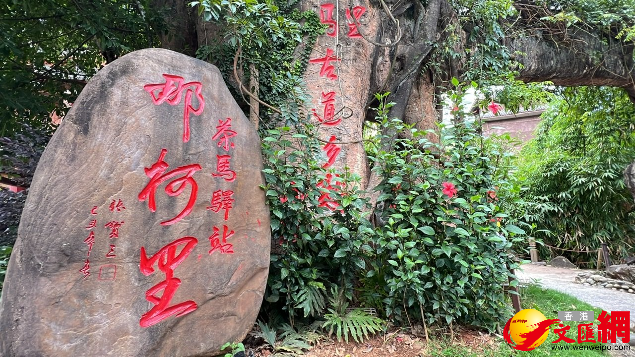 普洱那柯里 普洱那柯里