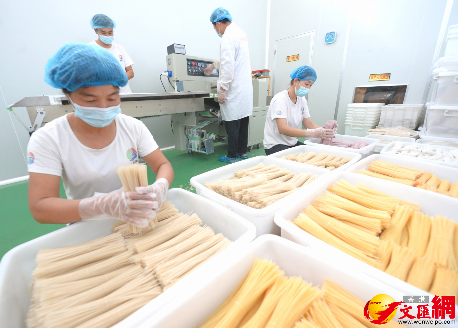 河北瑞熠天澱粉製造有限公司生產的無明礬粉條。（香港文匯網記者顧大鵬 攝）