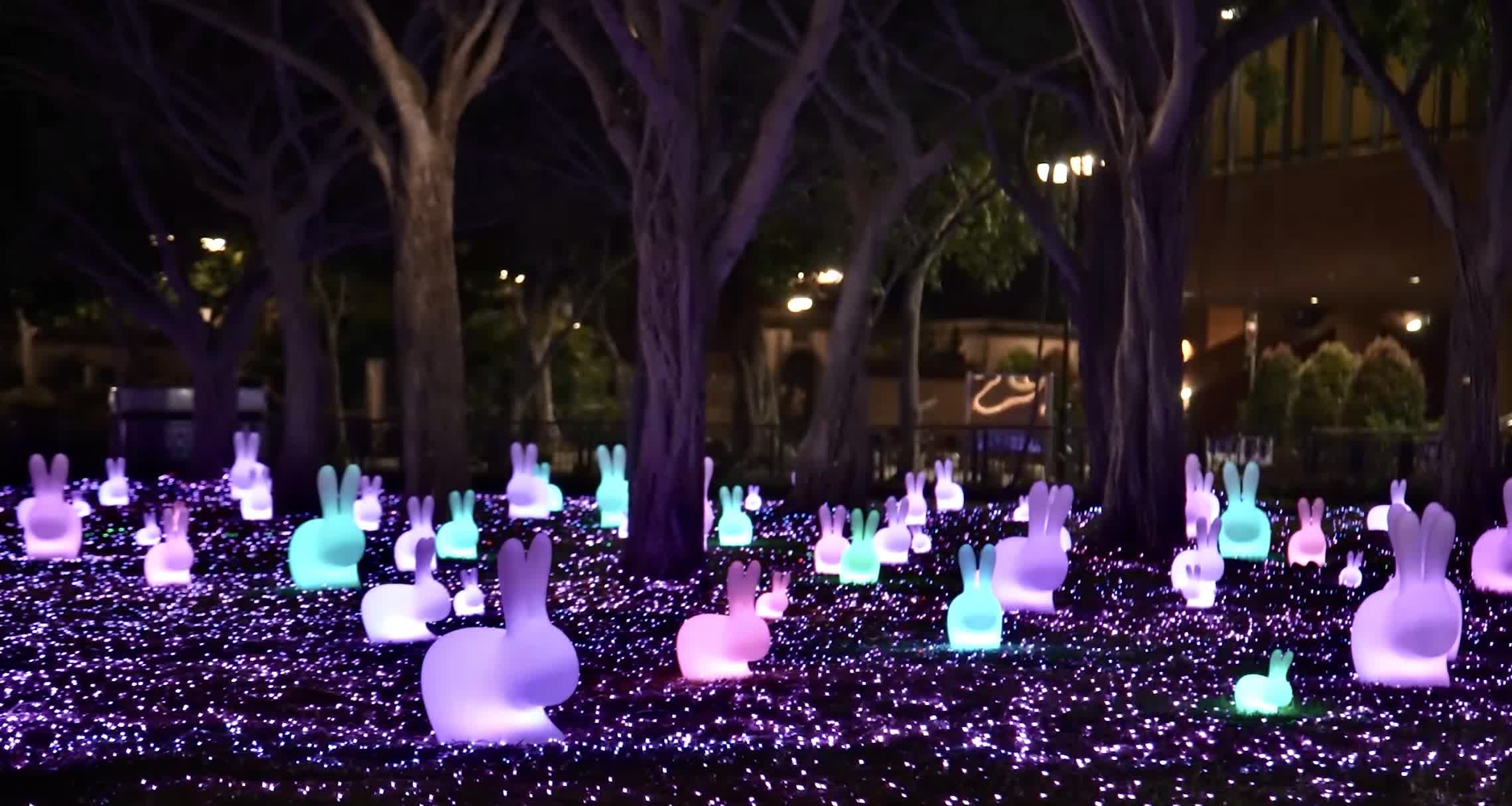 圓月的映照下，歡愉的中秋兔。（受訪者供圖）