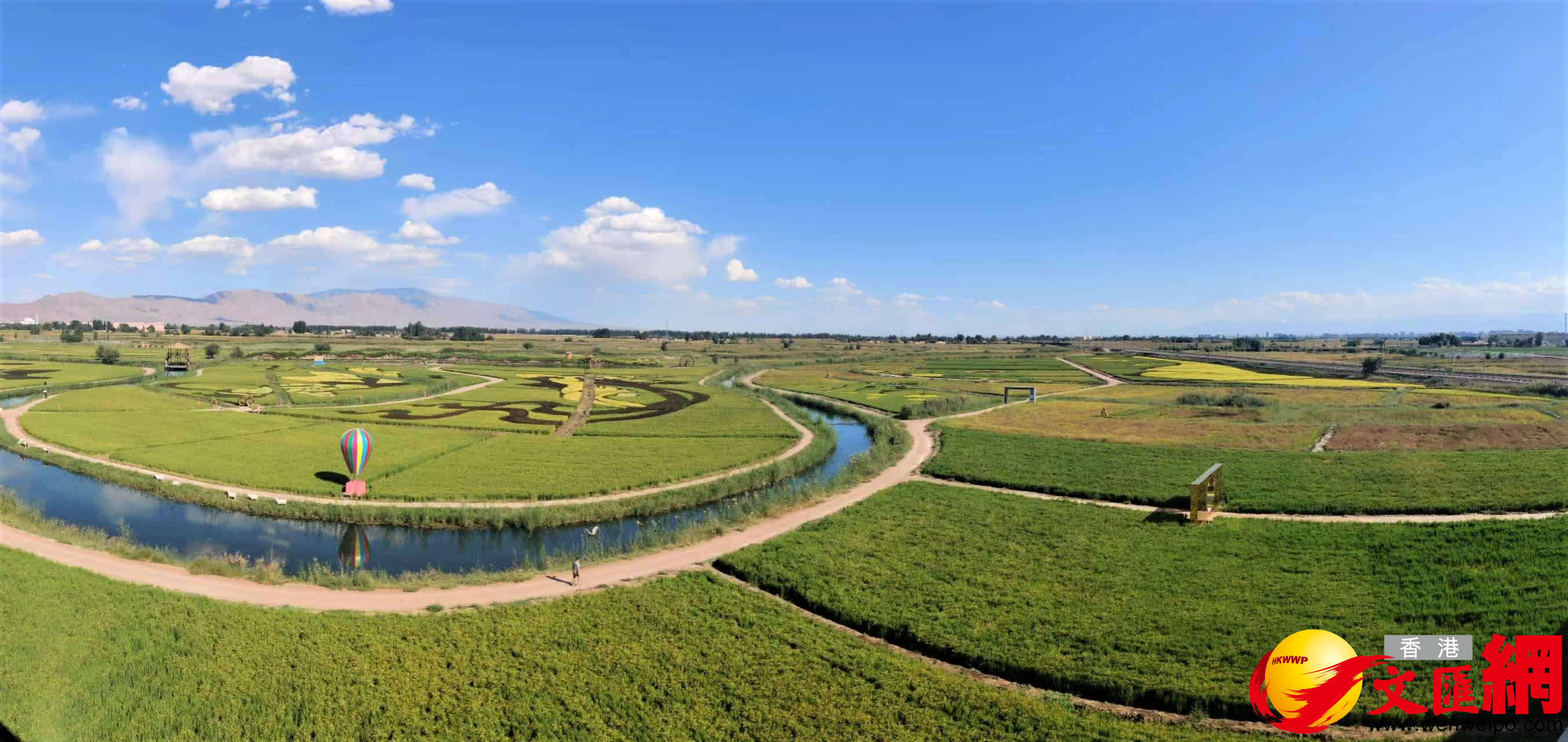 河西走廊有着種植水稻的傳統。（記者郭濤攝）