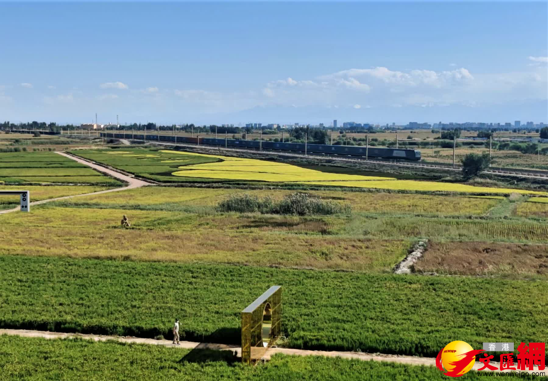 稻田旁駛過的中歐班列。（記者郭濤攝）