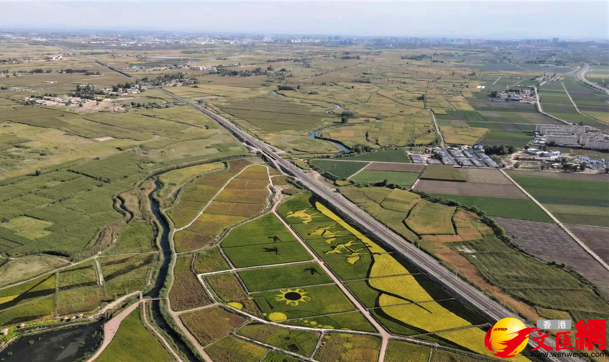 空中俯瞰稻田景觀畫。（記者郭濤攝）