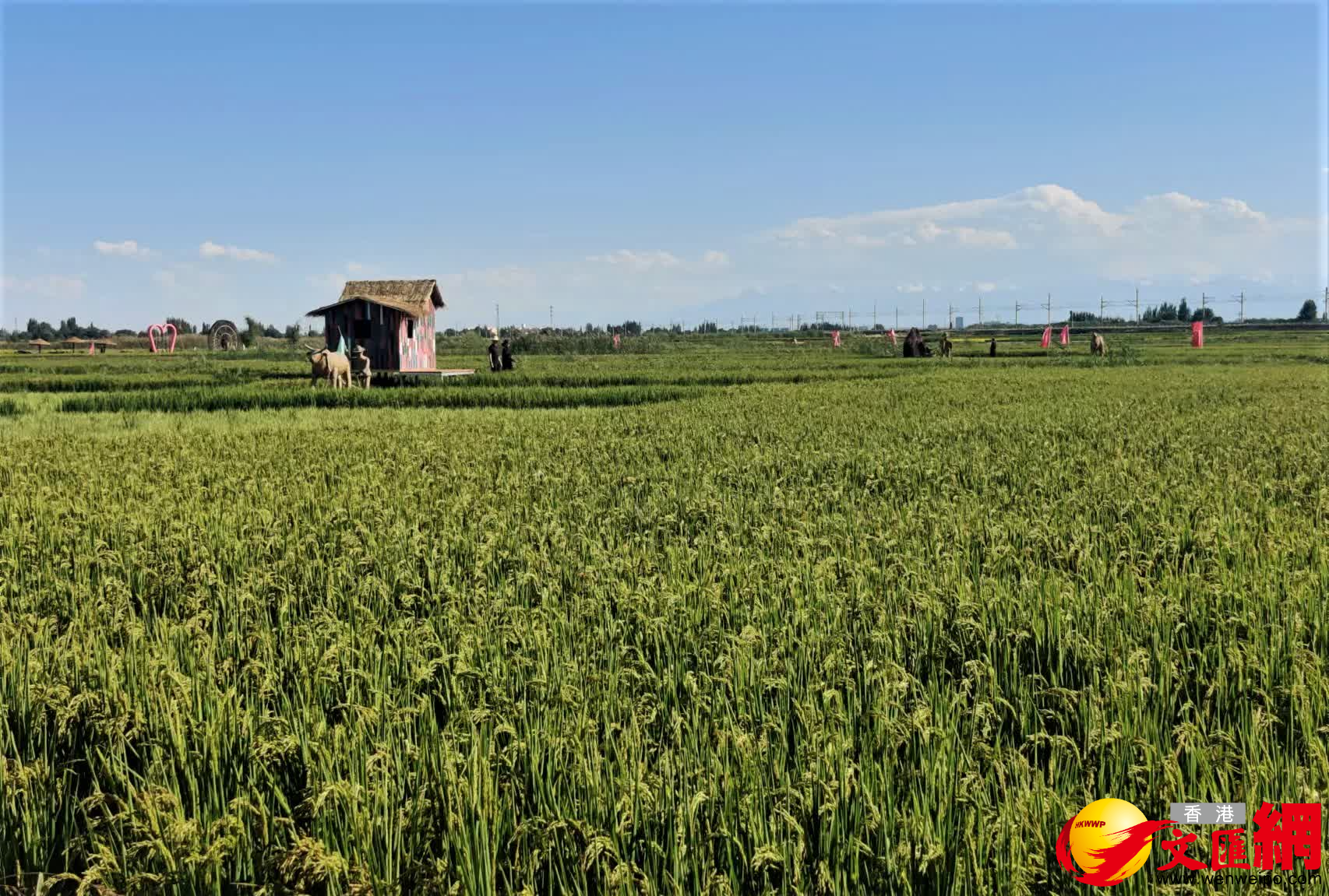 當地探索現代農業發展新路徑。（記者郭濤攝）