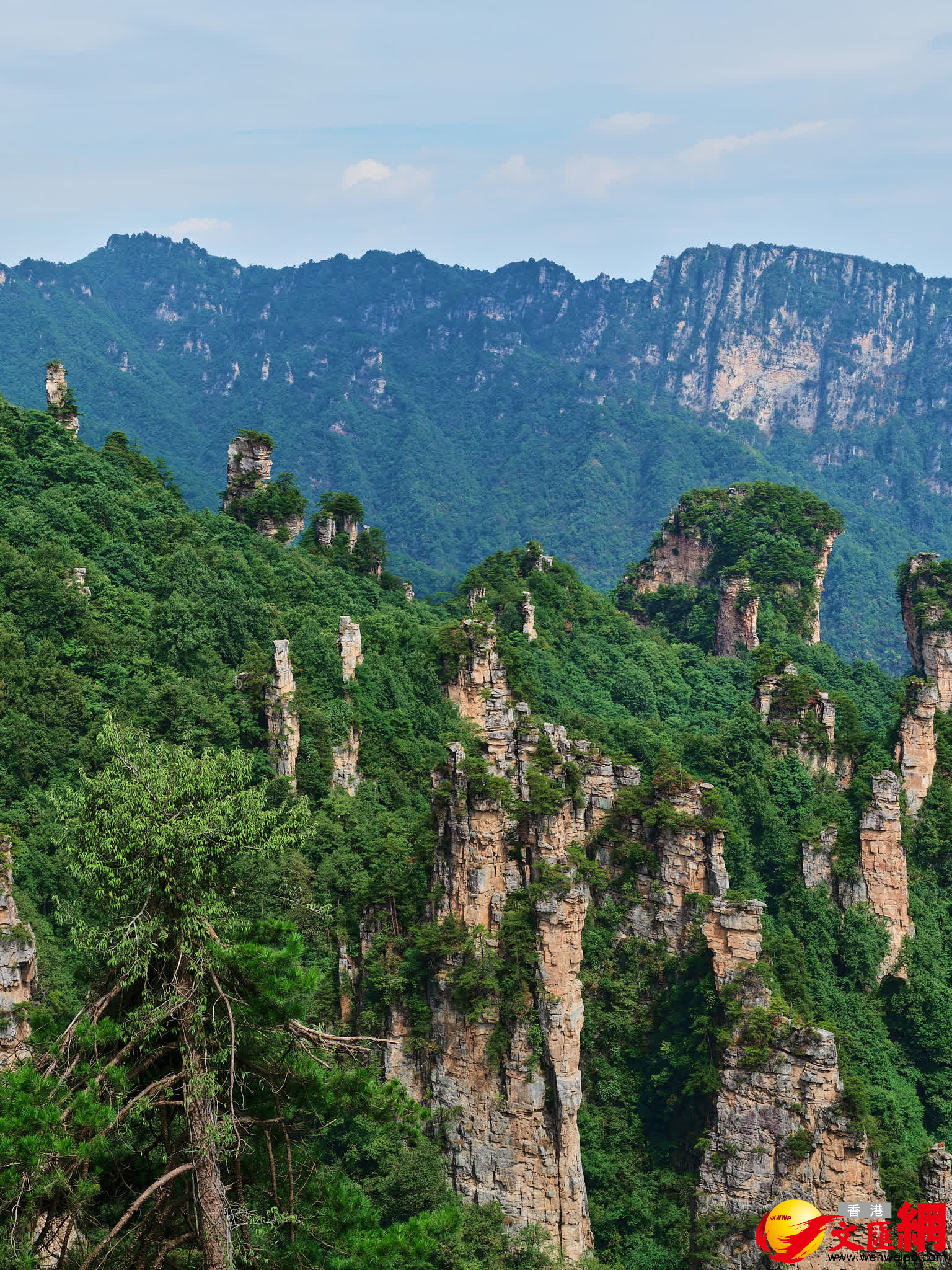  天子山「仙女散花」（記者 姚進 攝）