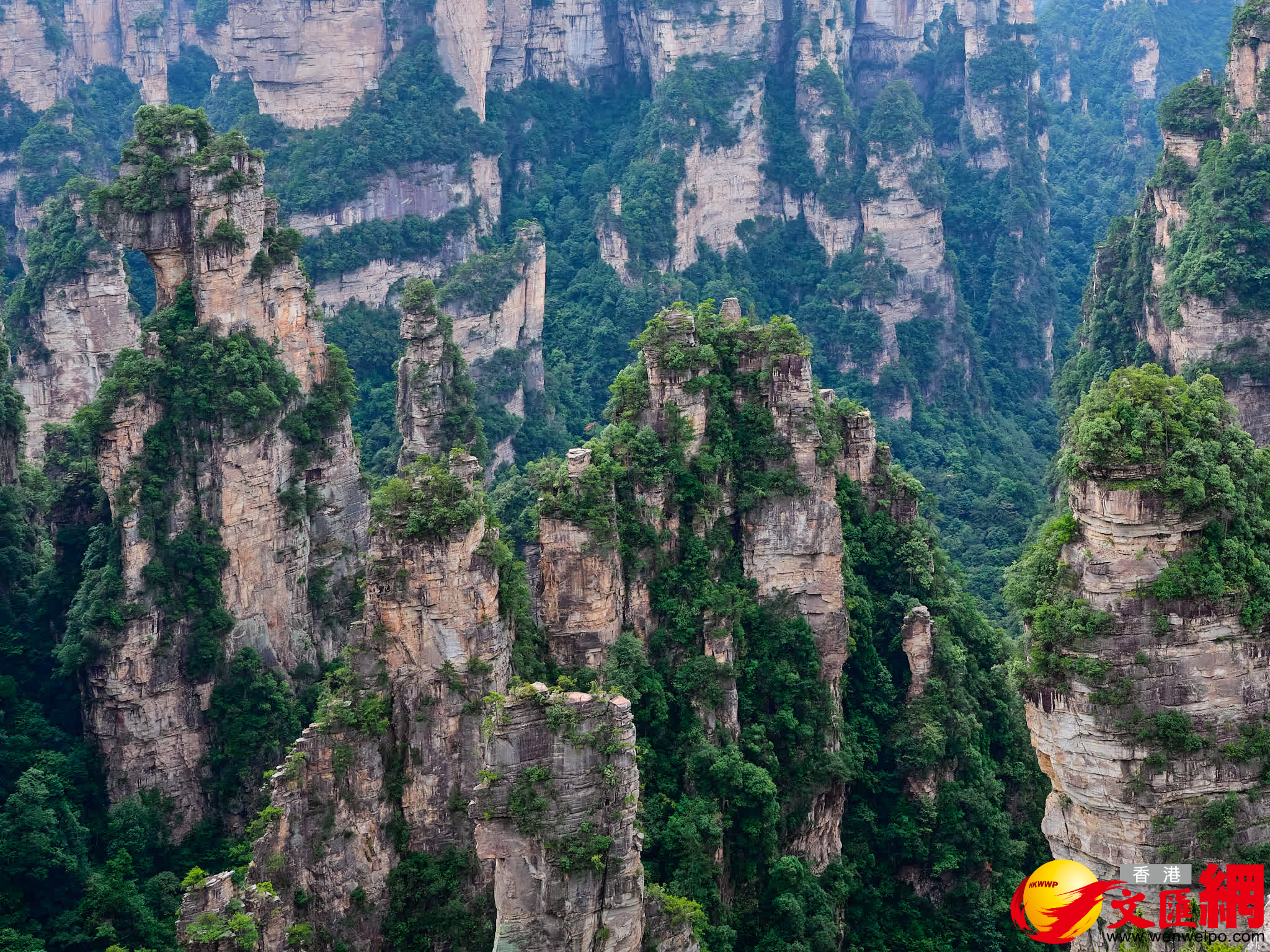 袁家界風光（記者 姚進 攝）