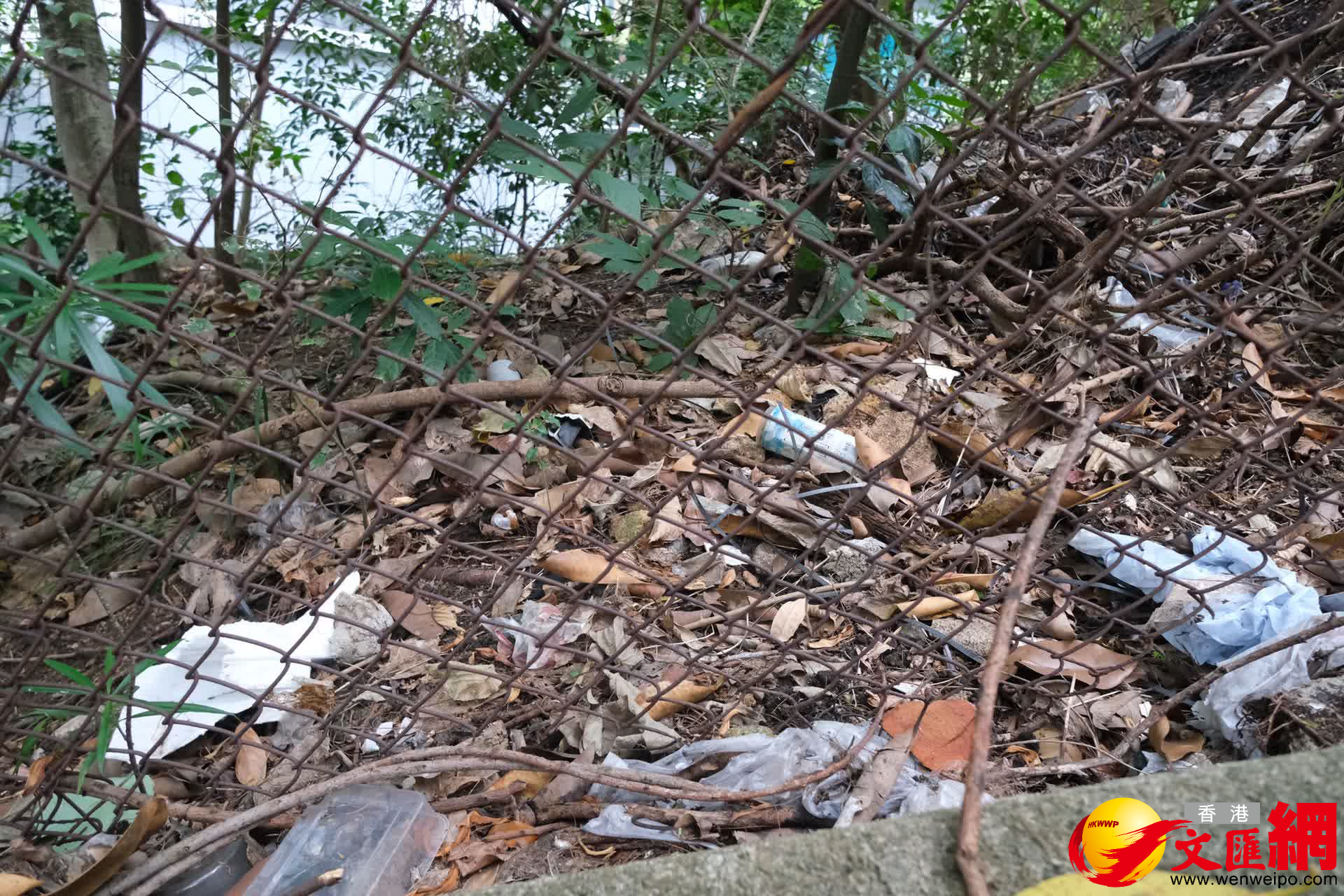 山路上不少塑膠垃圾，對環境污染極大。（大公文匯全媒體記者 麥鈞傑 攝）