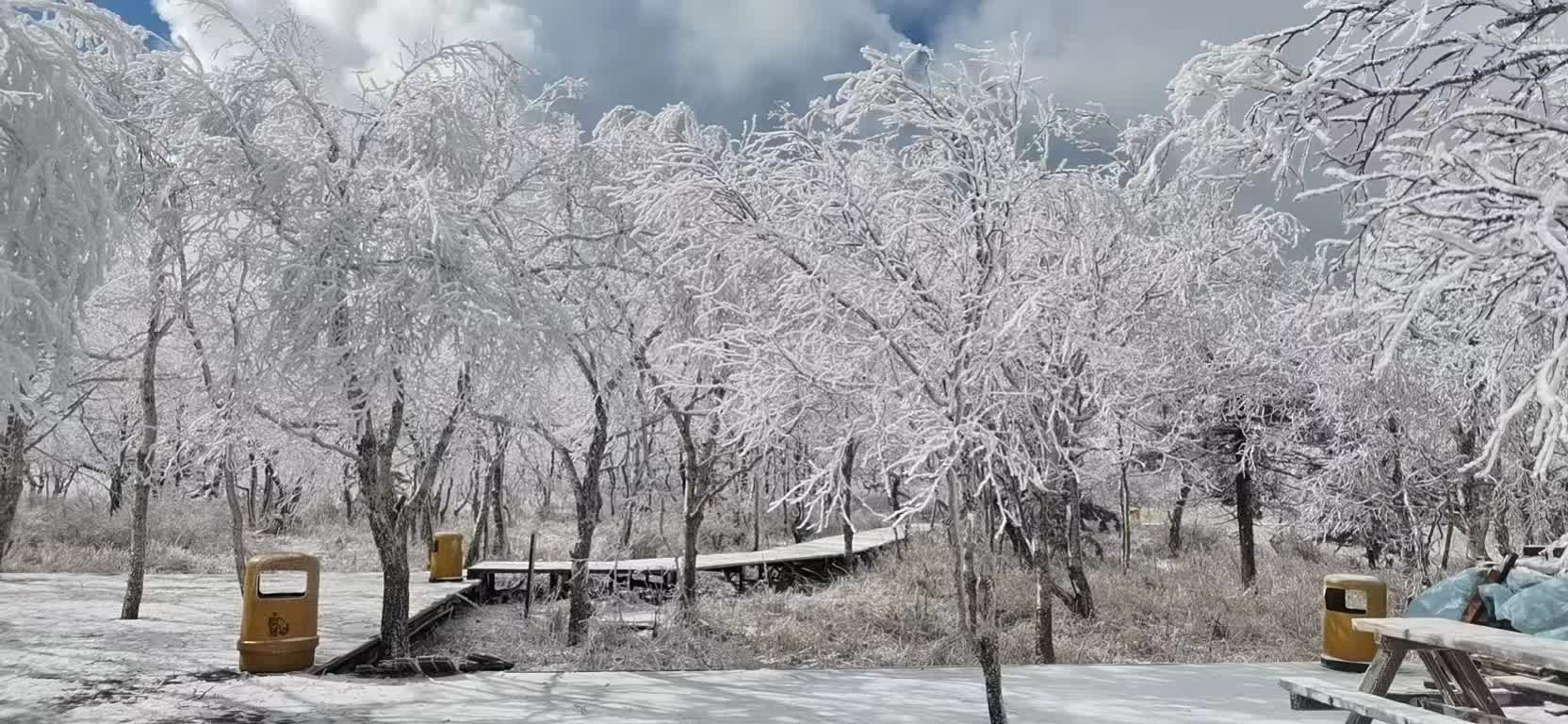 國慶長假第三天，黑龍江鳳凰山迎來了入秋以來的首場降雪。（受訪者供圖）