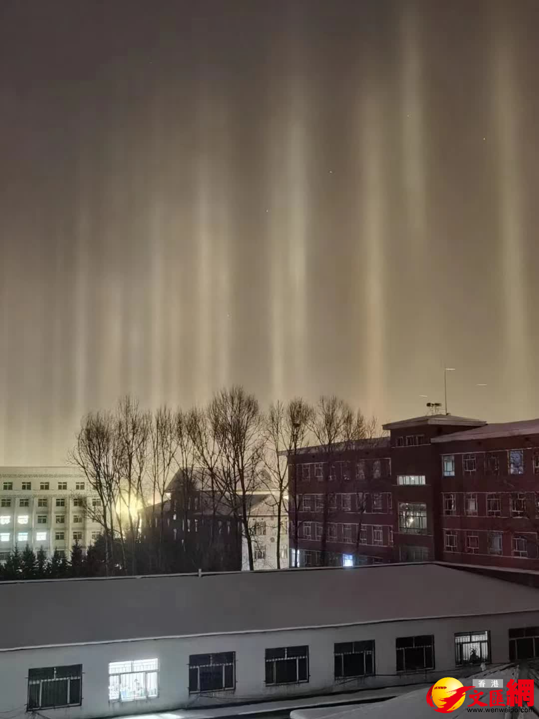 內蒙古鄂倫春旗出現「寒夜光柱」現象。（記者喬輝 攝）