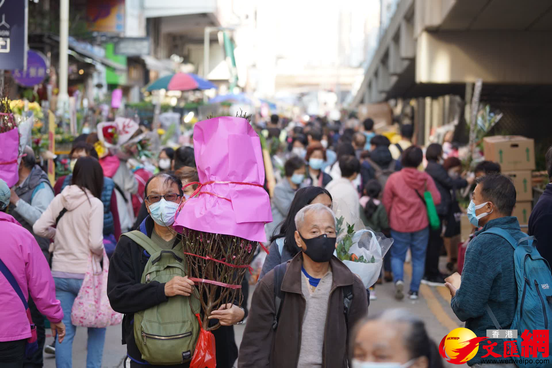旺角花墟人花爭路,色彩鮮艷的鮮花大賣。(大公文匯全媒體記者 麥鈞傑 攝) 旺角花墟人花爭路,色彩鮮艷的鮮花大賣。(大公文匯全媒體記者 麥鈞傑 攝)
