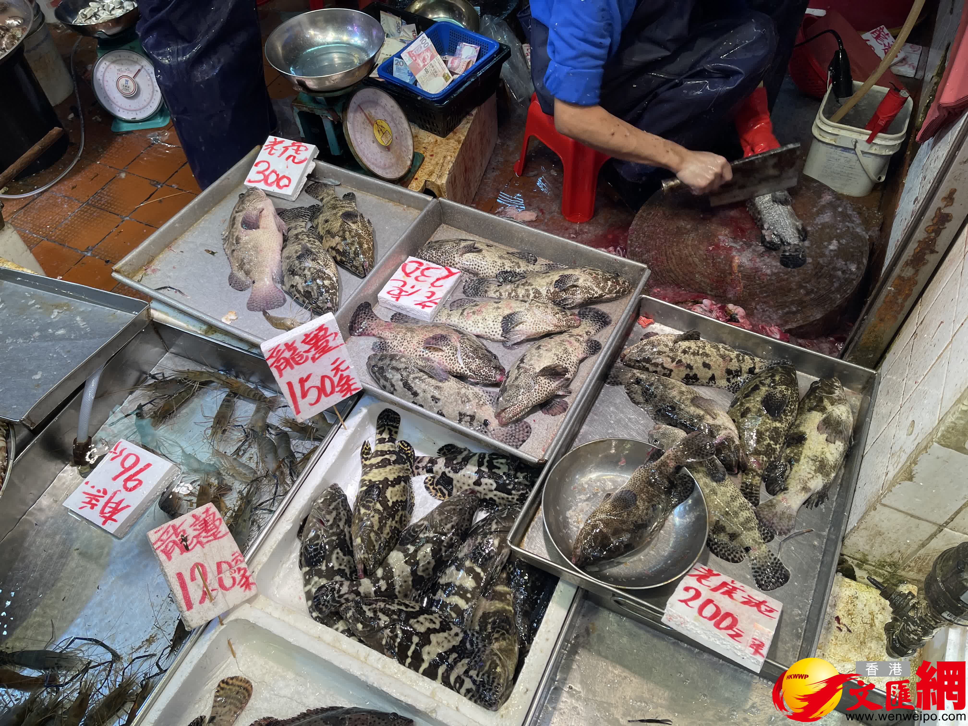 年三十，街市海鮮最暢銷。（大公文匯全媒體記者 李九歌 攝）