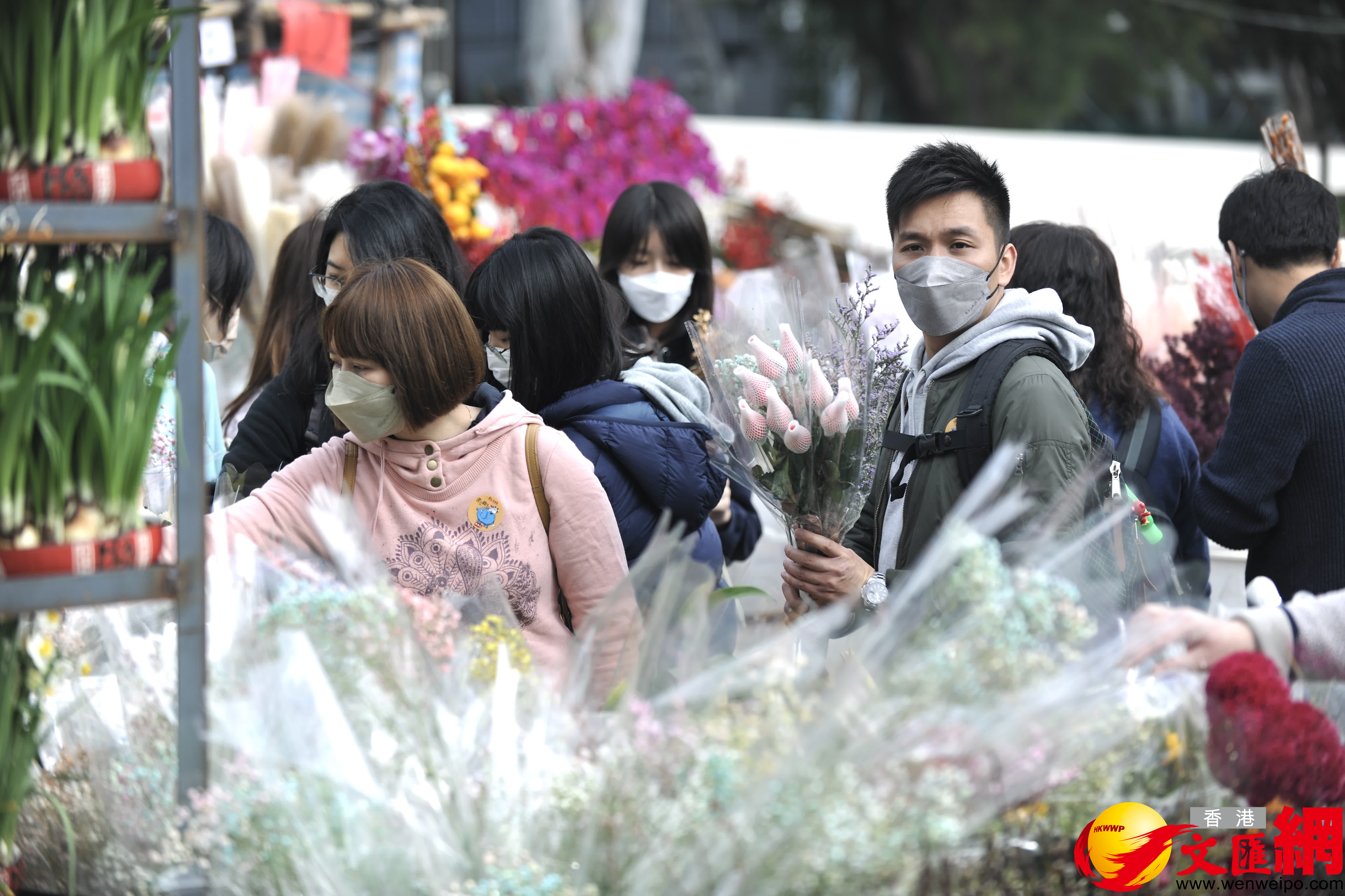 不少市民都把握最後機會,到年宵市場買年花喜迎新春。(大公文匯記者劉陽攝) 不少市民都把握最後機會,到年宵市場買年花喜迎新春。(大公文匯記者劉陽攝)
